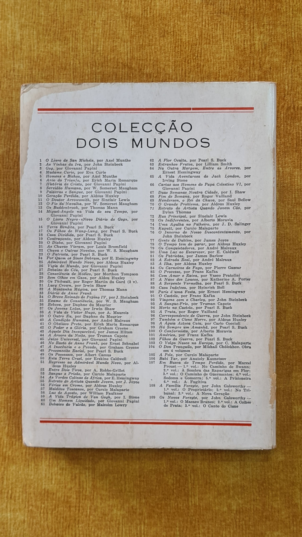Os Buddenbrook - Colecção Dois Mundos 13