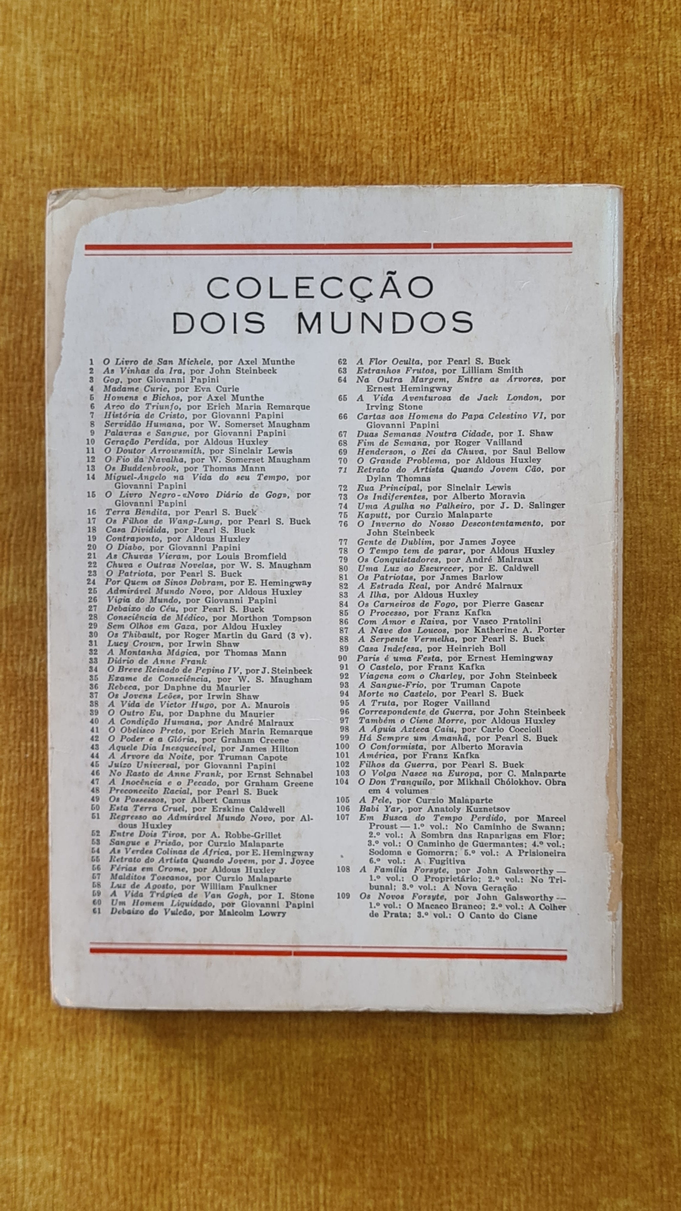 Os Buddenbrook - Colecção Dois Mundos 13