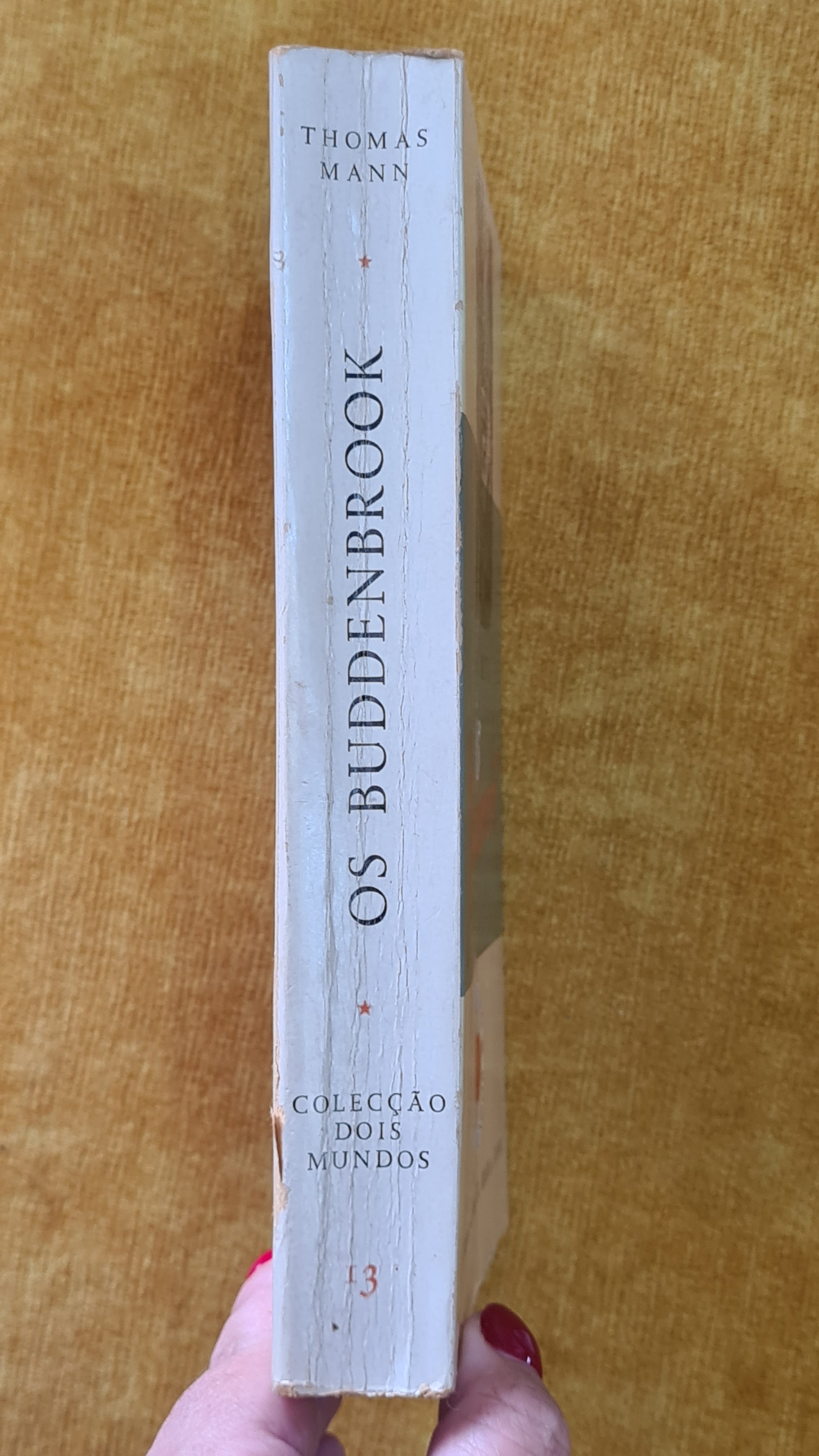 Os Buddenbrook - Colecção Dois Mundos 13