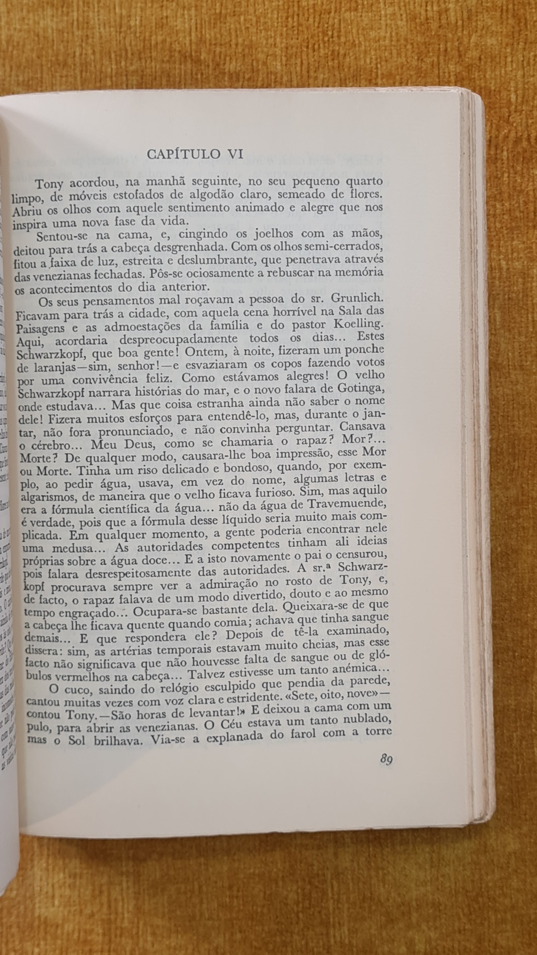 Os Buddenbrook - Colecção Dois Mundos 13
