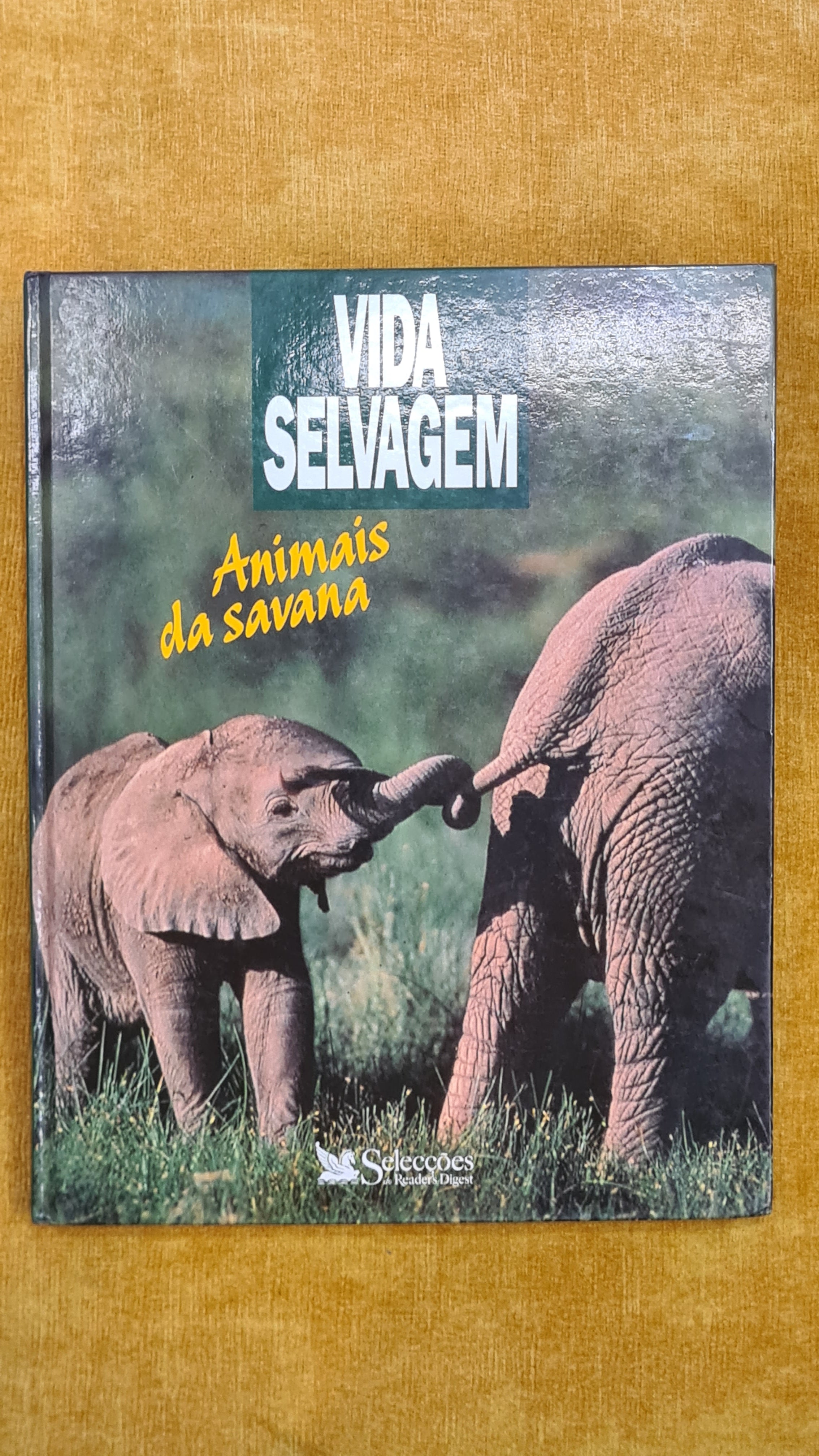 Animais da Savana - Vida Selvagem