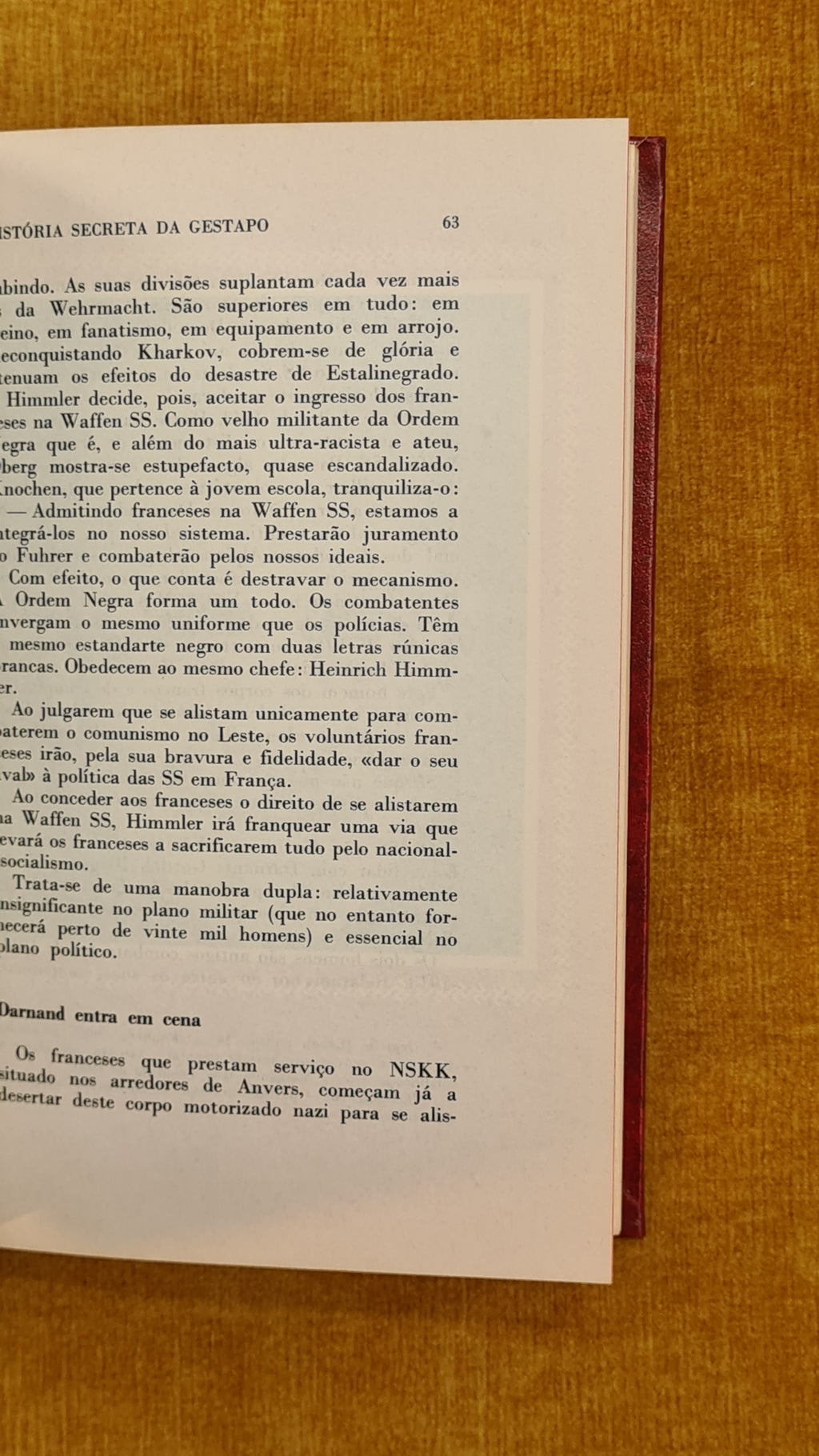 História Secreta da Gestapo - Tomo 2 - O Terror Nazi: Documentos