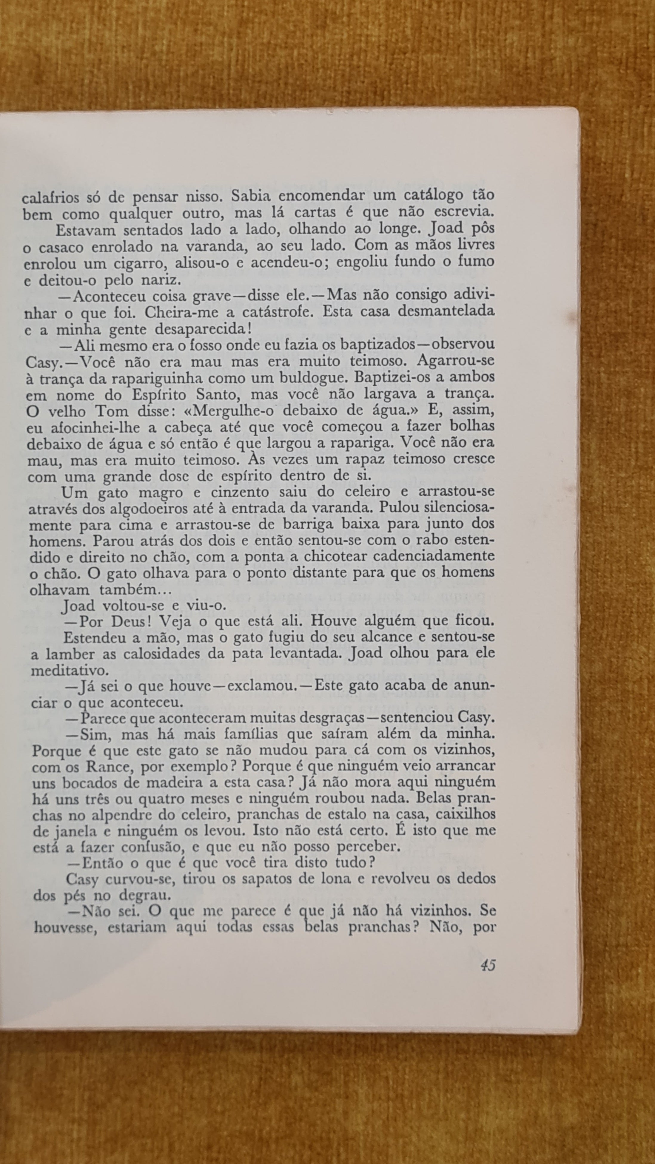 As vinhas da ira - Coleção Mil Folhas 9