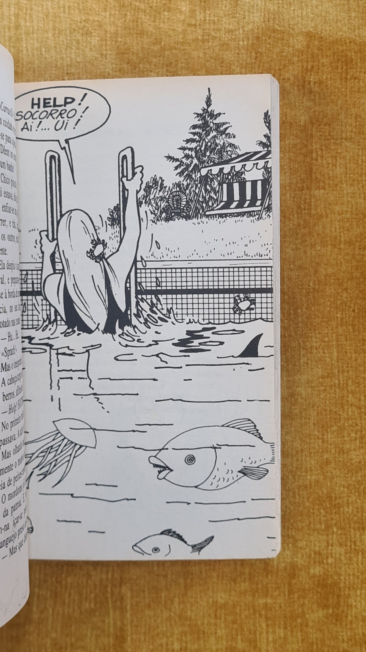 Uma aventura no Algarve 12