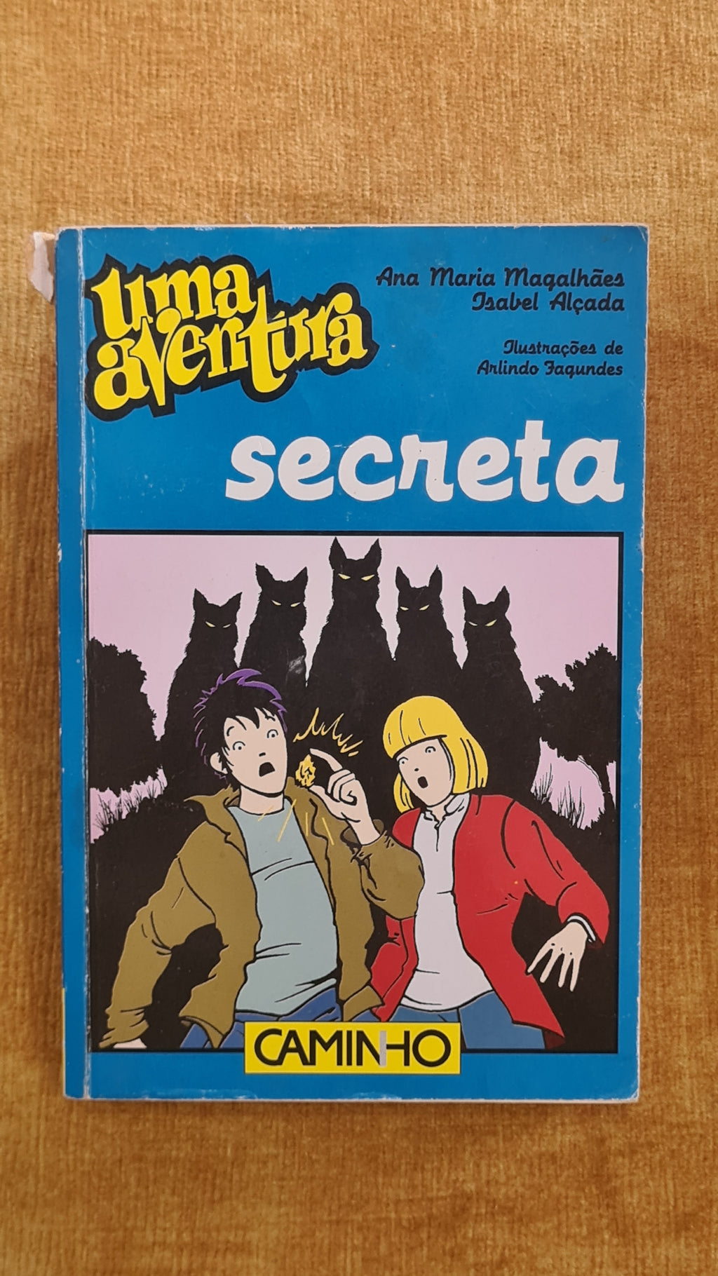 Uma aventura secreta 44