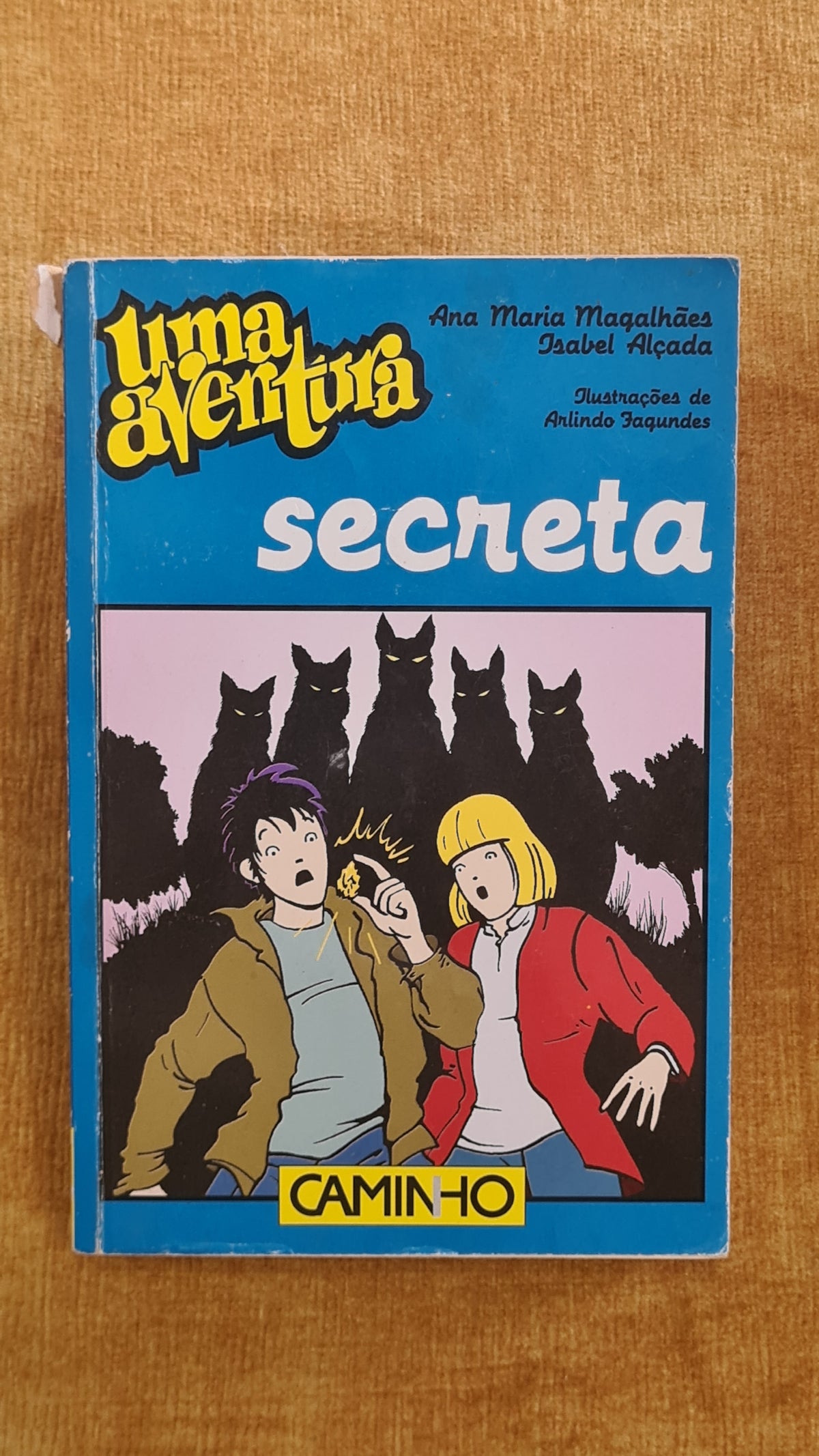 Uma aventura secreta 44