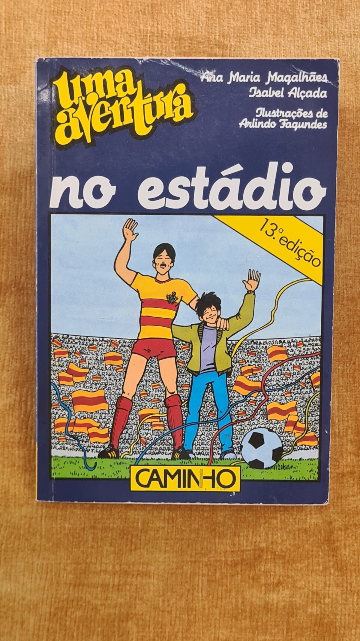 Uma aventura no estádio 14