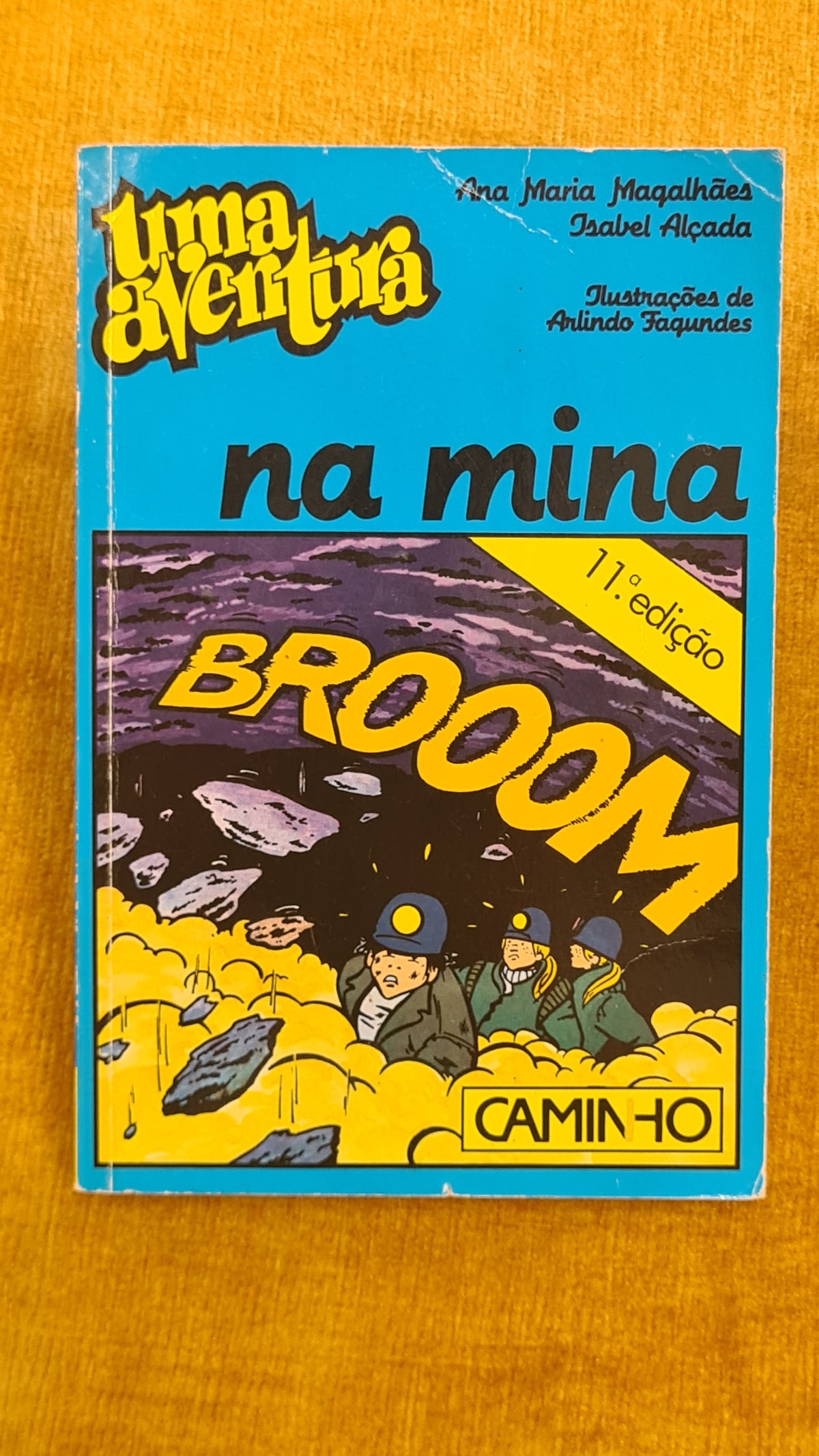 Uma aventura na mina 11