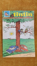Tintin 7ºano, nº 6