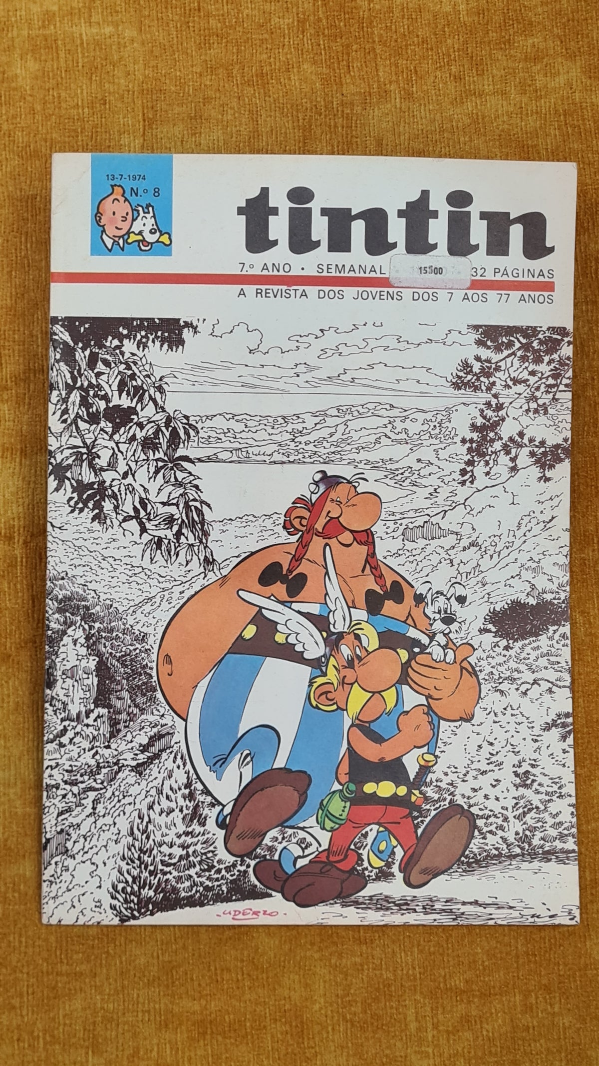 Tintin 7ºano, nº 8