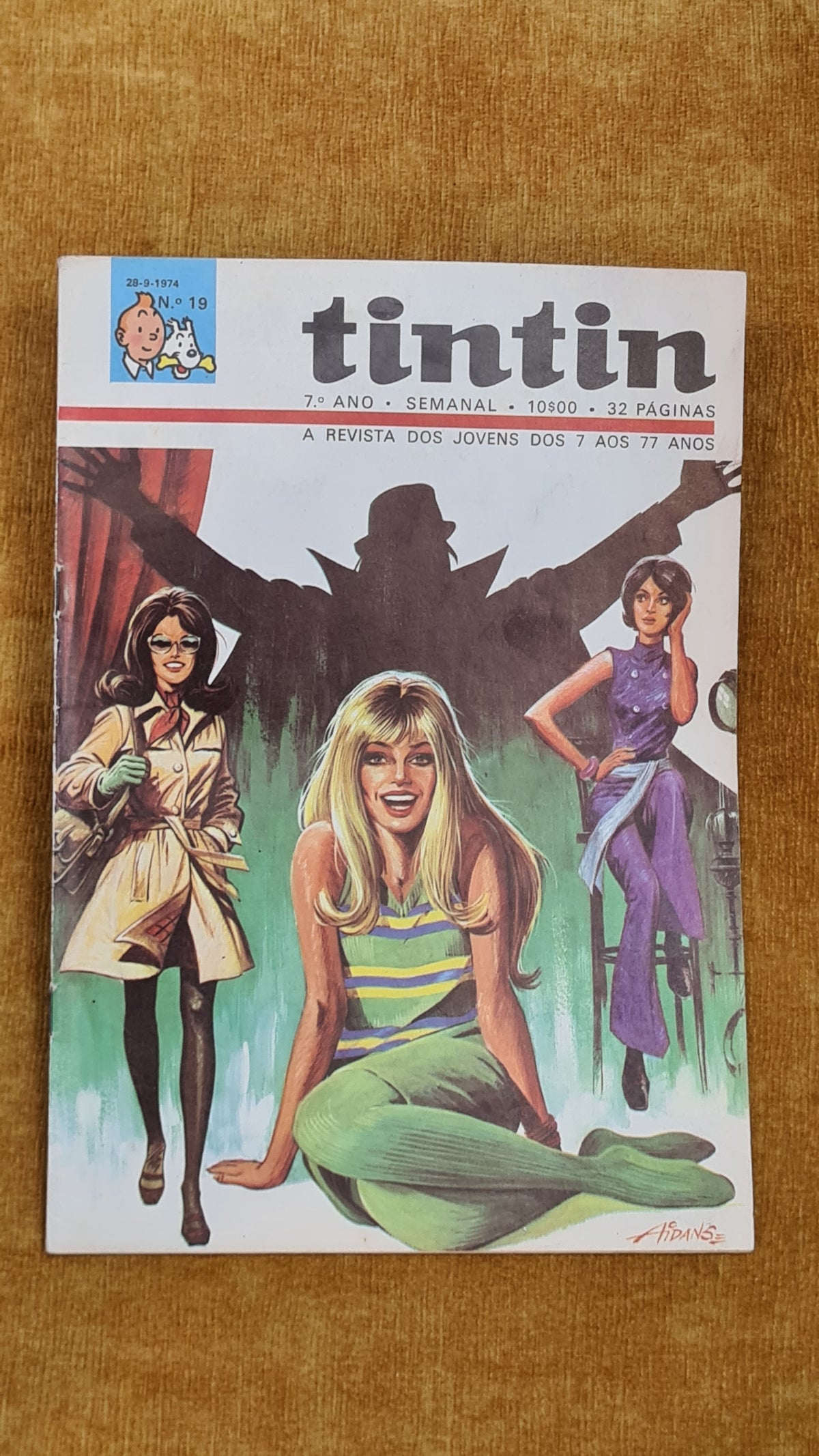 Tintin 7ºano, nº 19