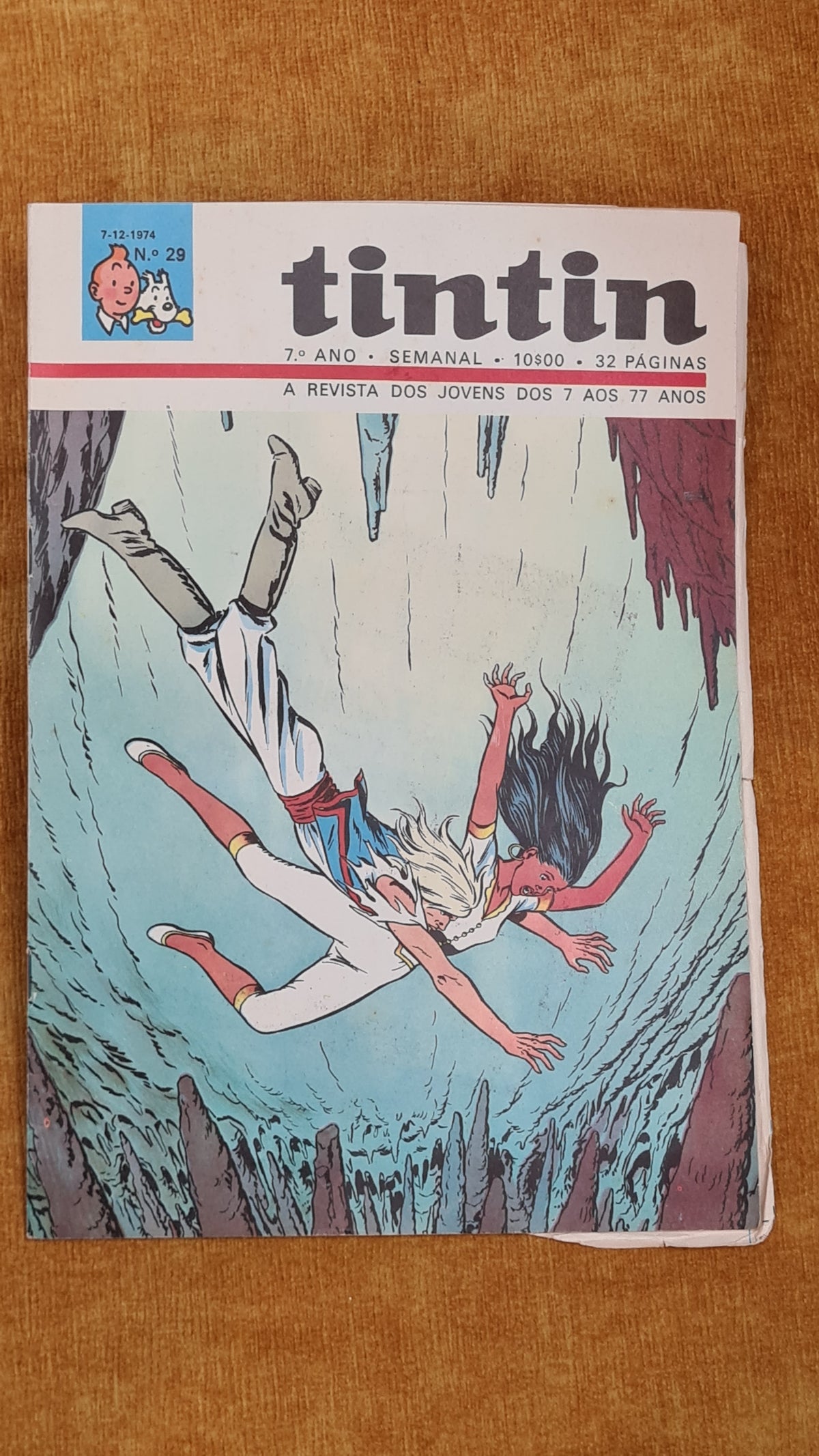 Tintin 7ºano, nº 29