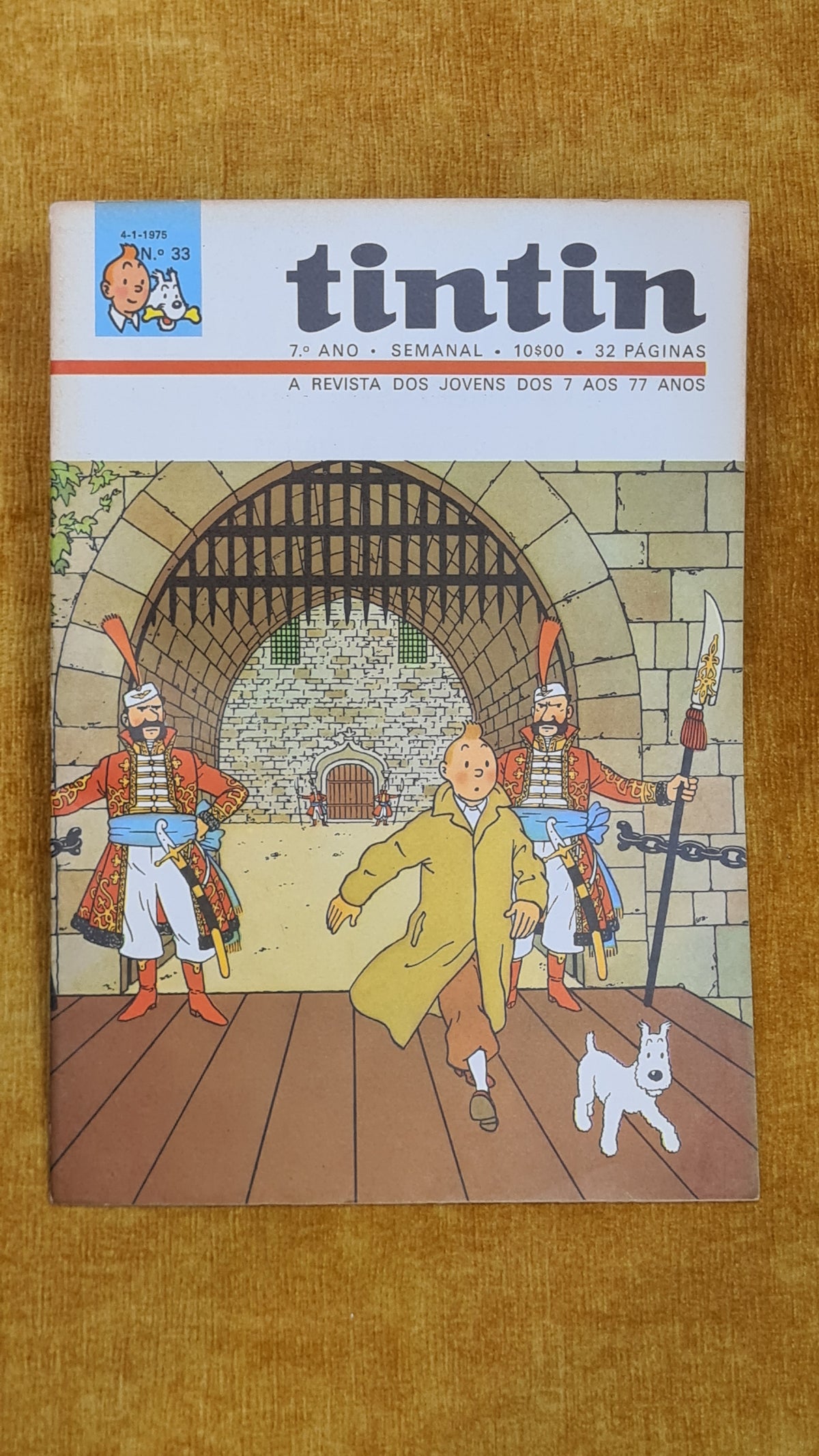 Tintin 7ºano, nº 33