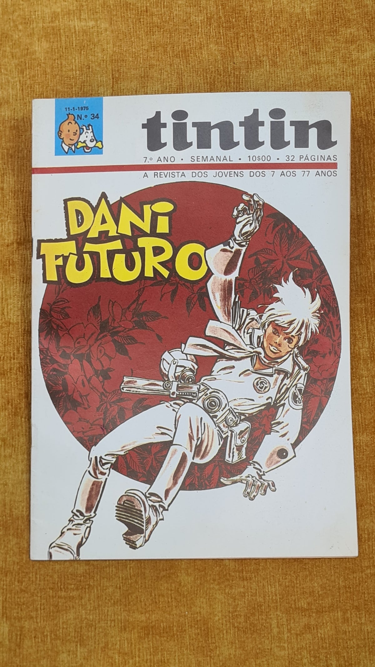 Tintin 7ºano, nº 34