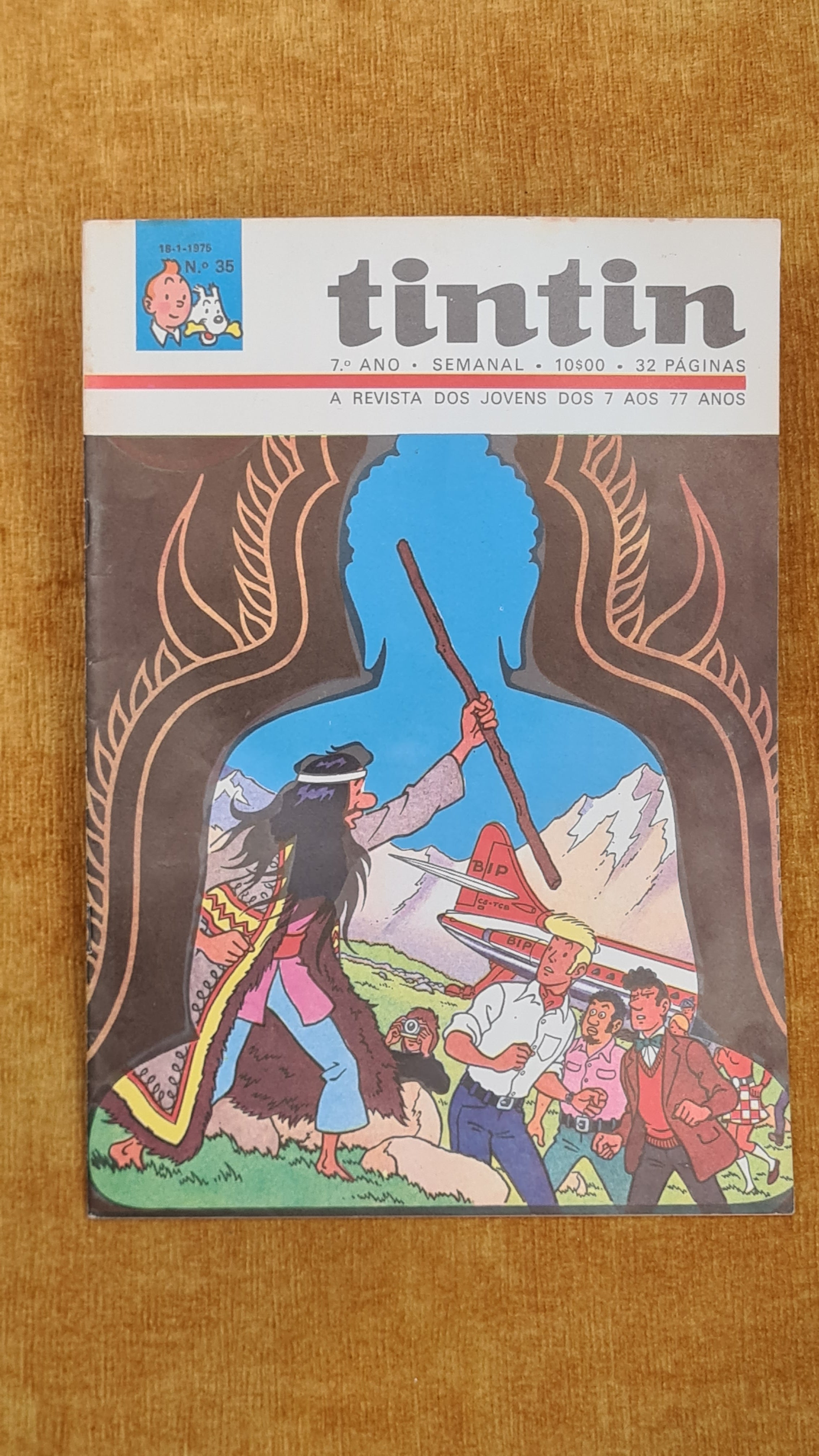 Tintin 7ºano, nº 35