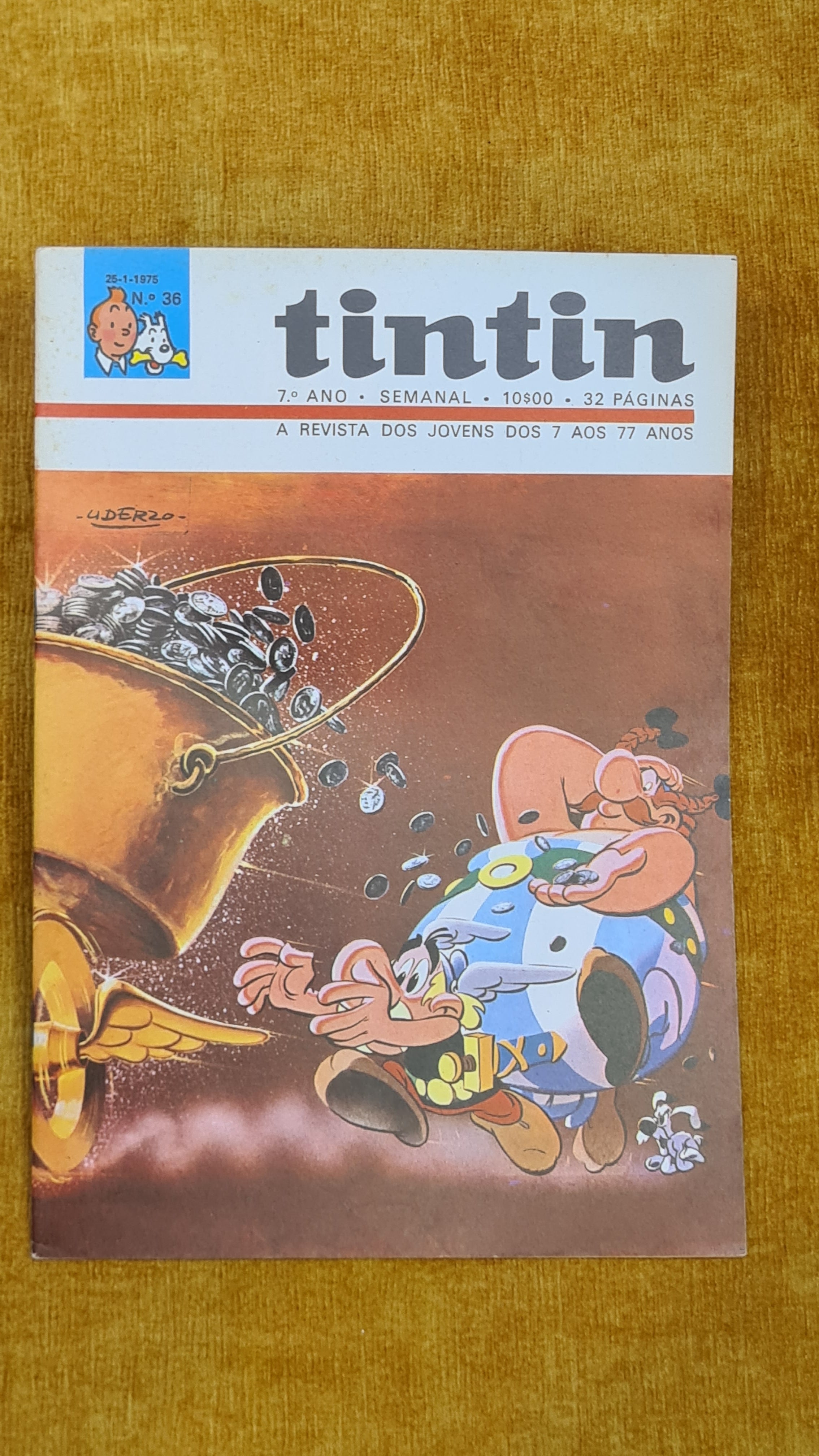 Tintin 7ºano, nº 36