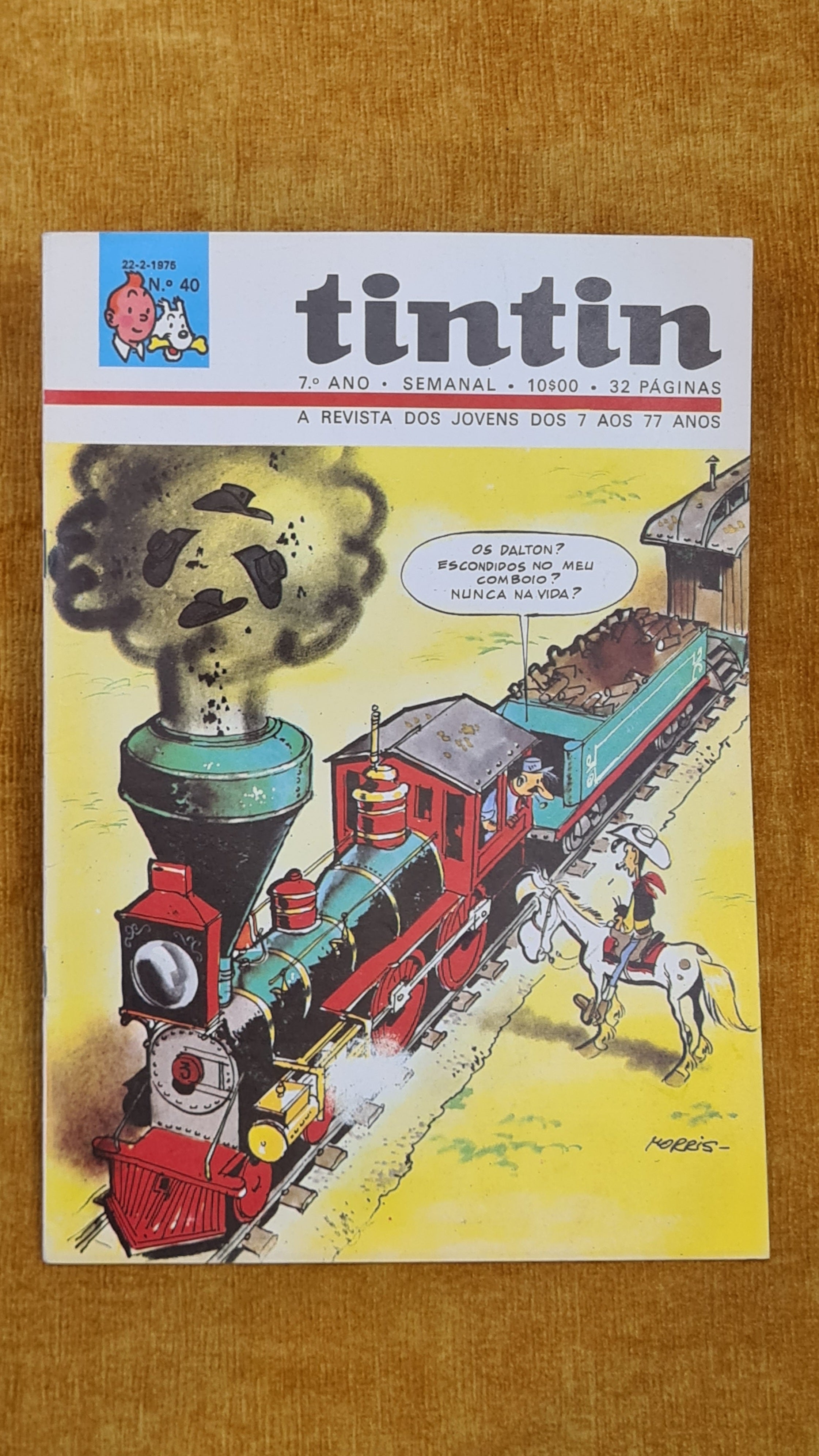 Tintin 7ºano, nº 40