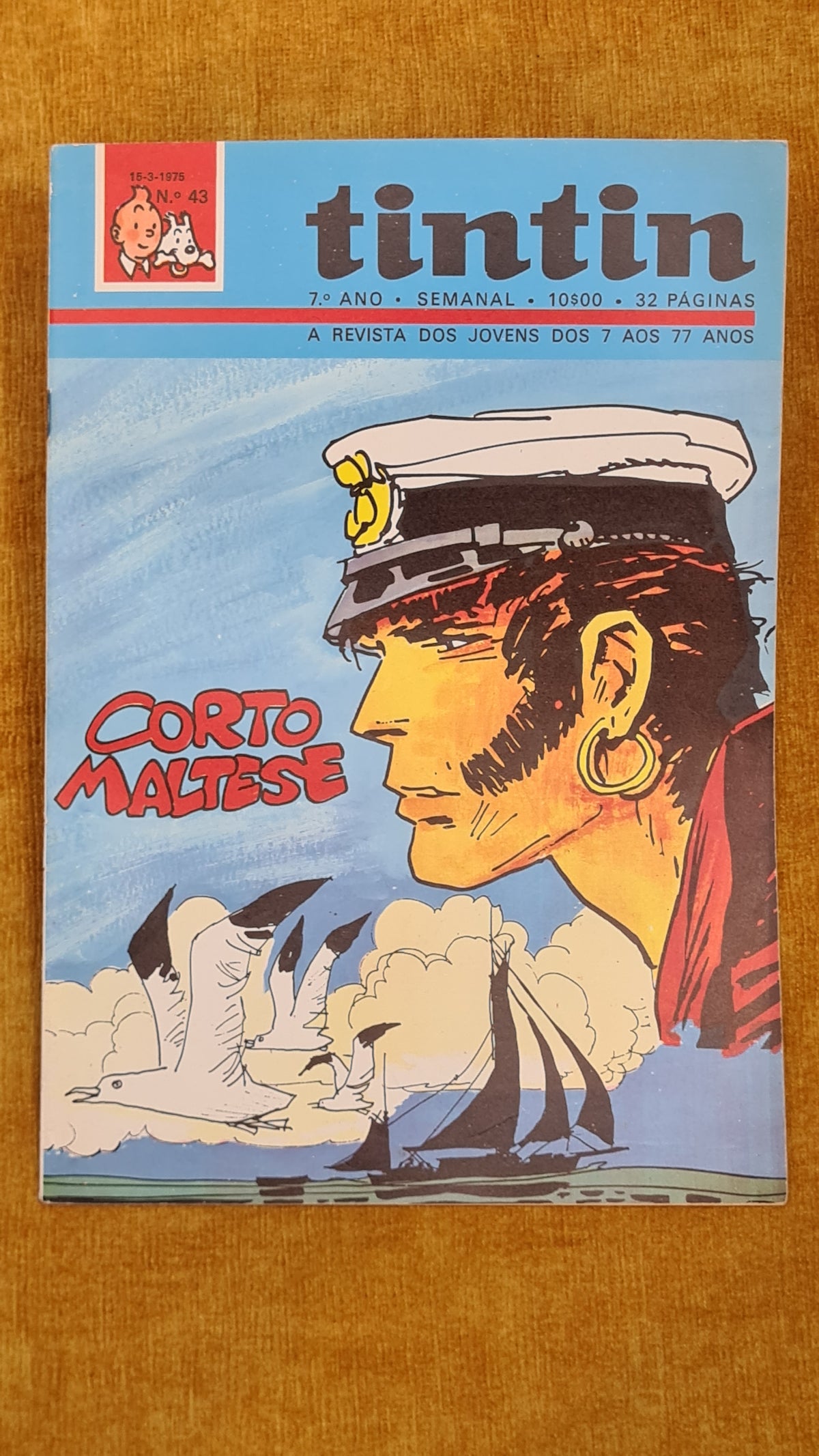 Tintin 7ºano, nº 43