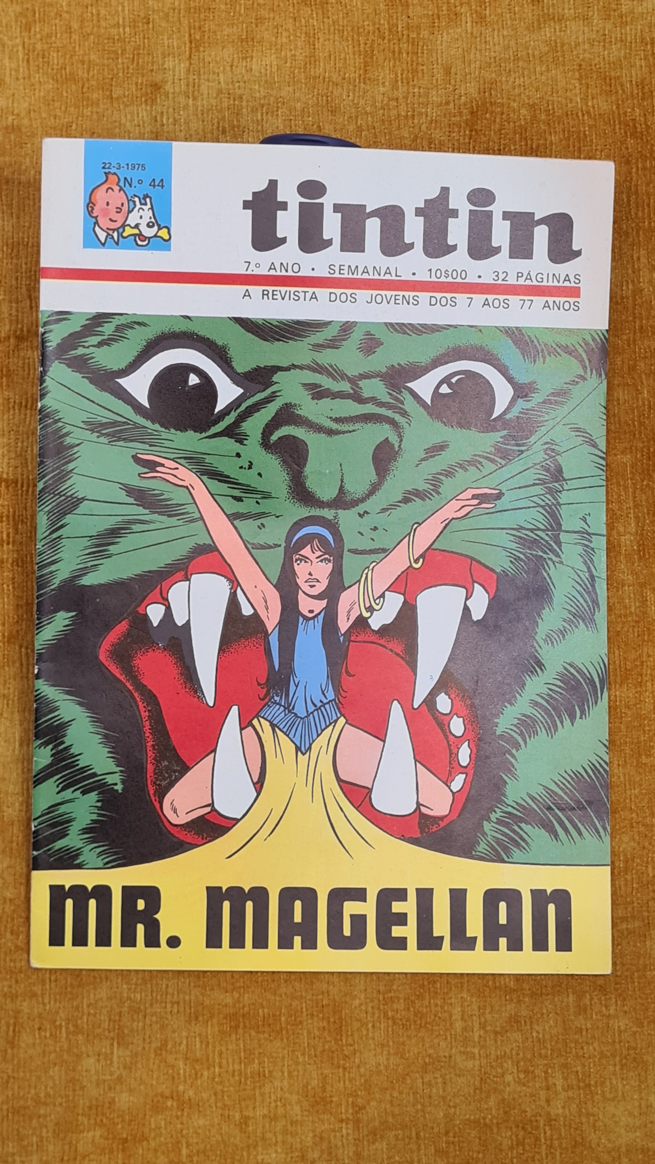 Tintin 7ºano, nº 44