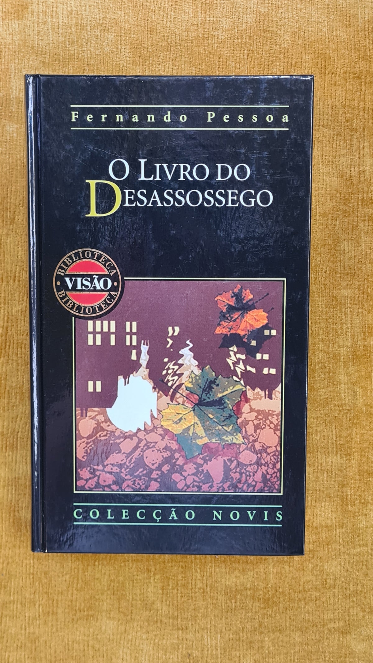 O livro do desassossego - Biblioteca Visão 17