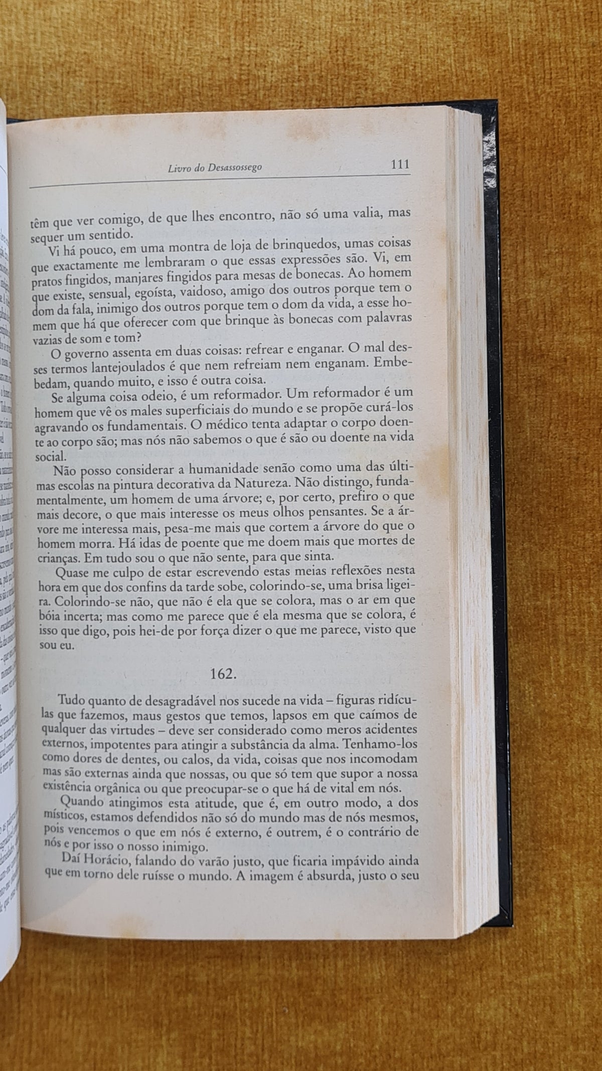 O livro do desassossego - Biblioteca Visão 17