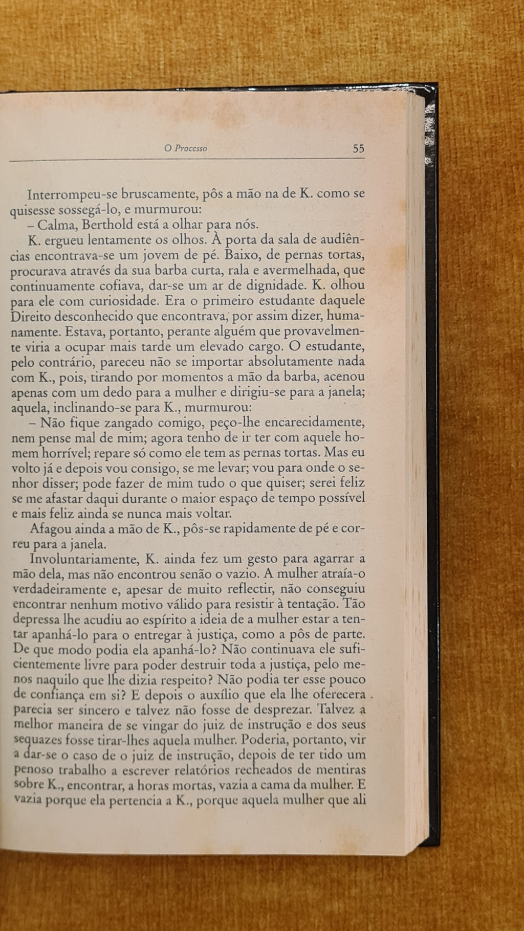 O processo - Biblioteca Visão 4