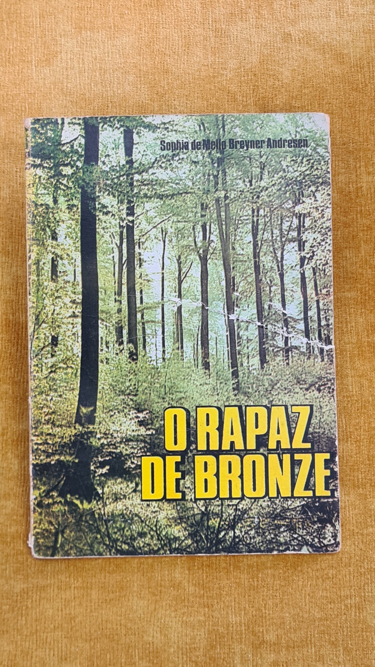 O rapaz de bronze
