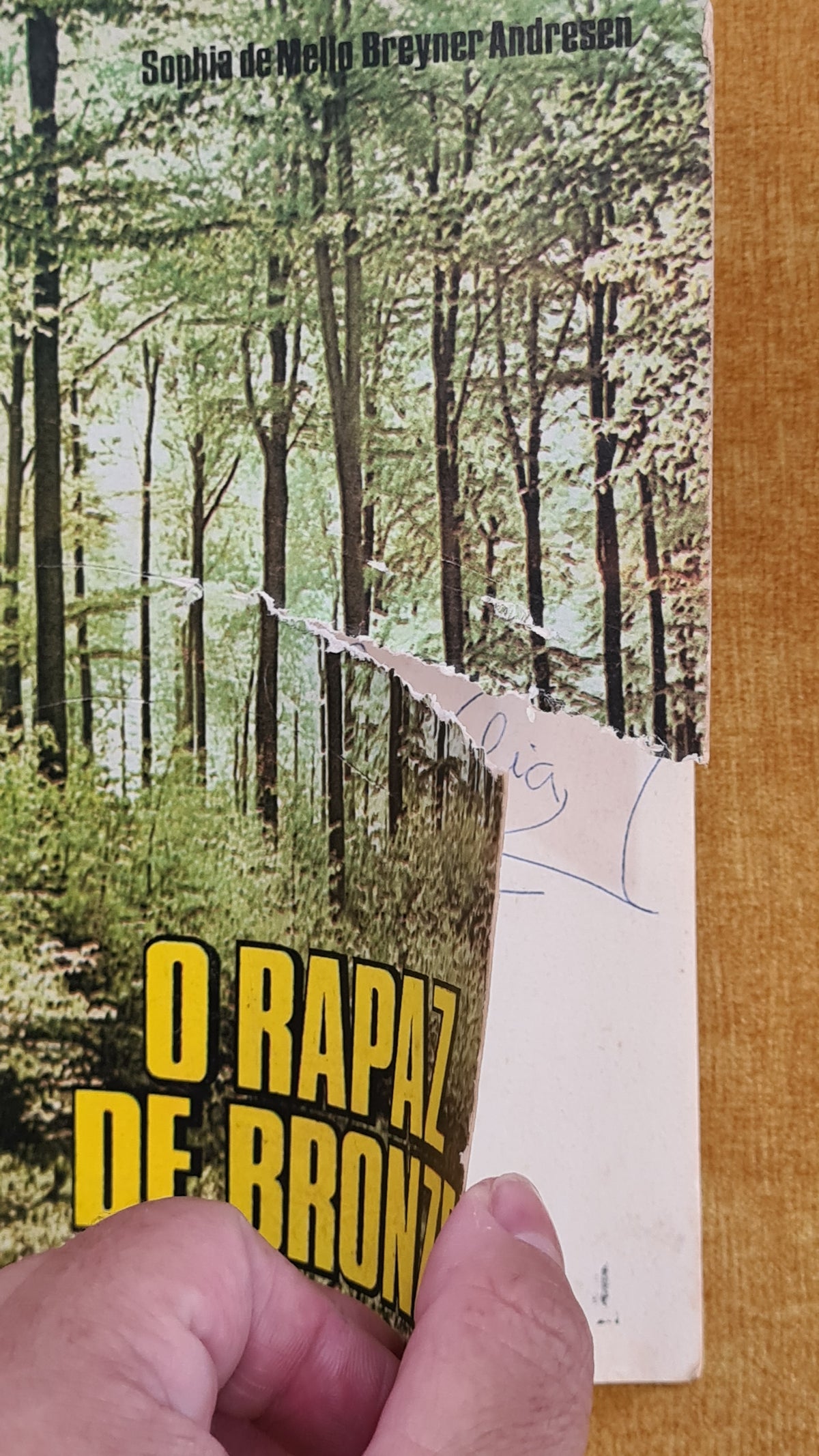 O rapaz de bronze