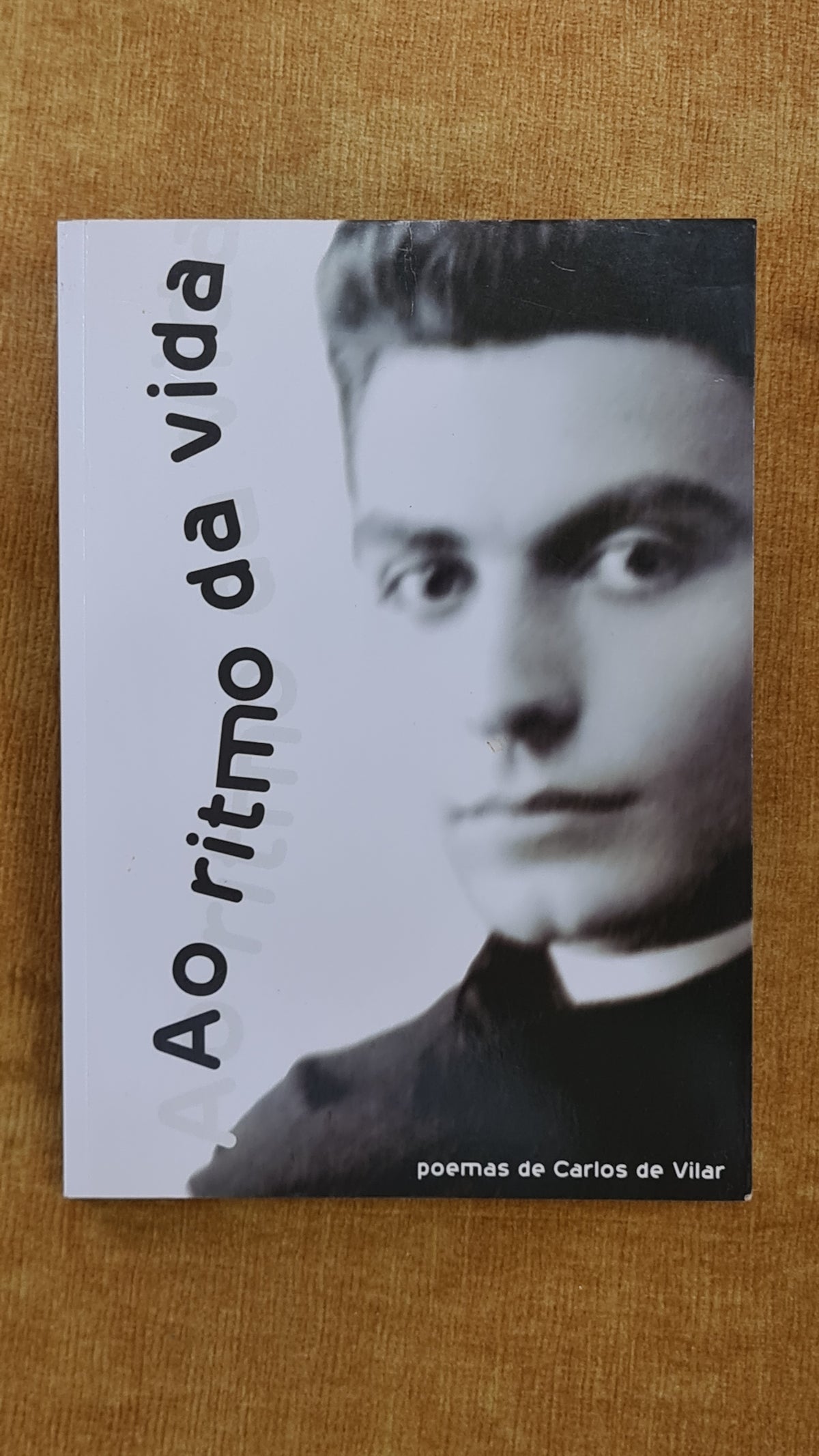 Ao ritmo da vida: Poemas de Carlos de Vilar