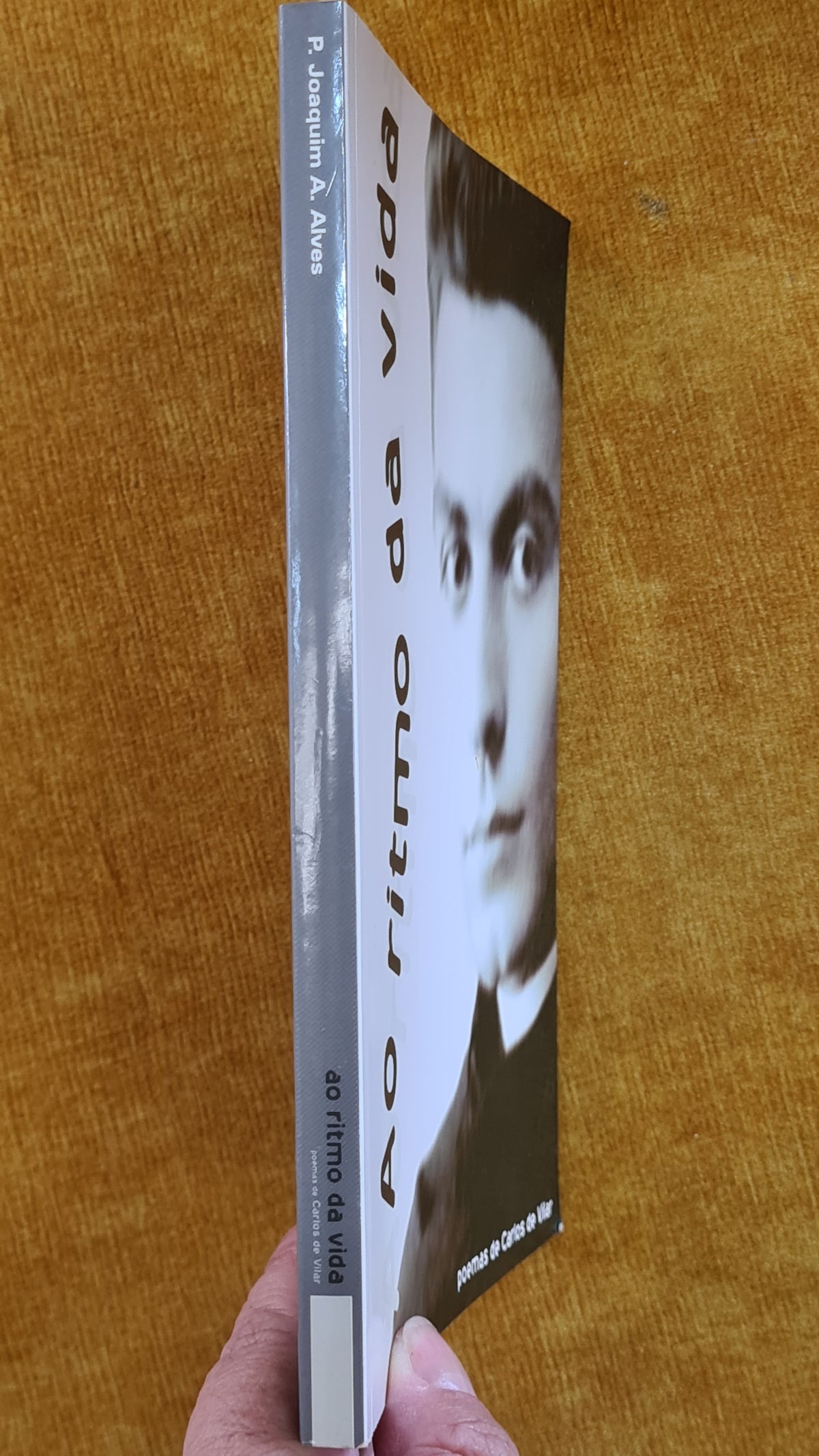 Ao ritmo da vida: Poemas de Carlos de Vilar