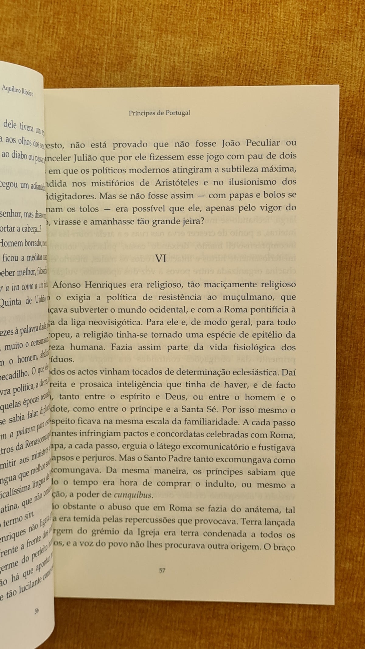 Príncipes de Portugal: suas grandezas e misérias