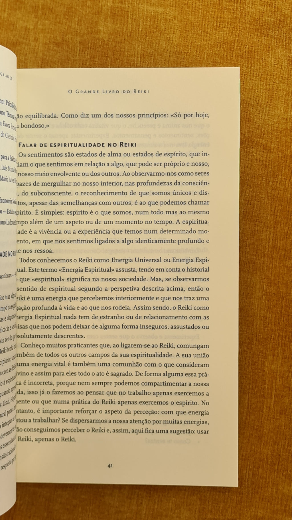 O grande livro do Reiki: Manual prático e atualizado sobre a arte da cura