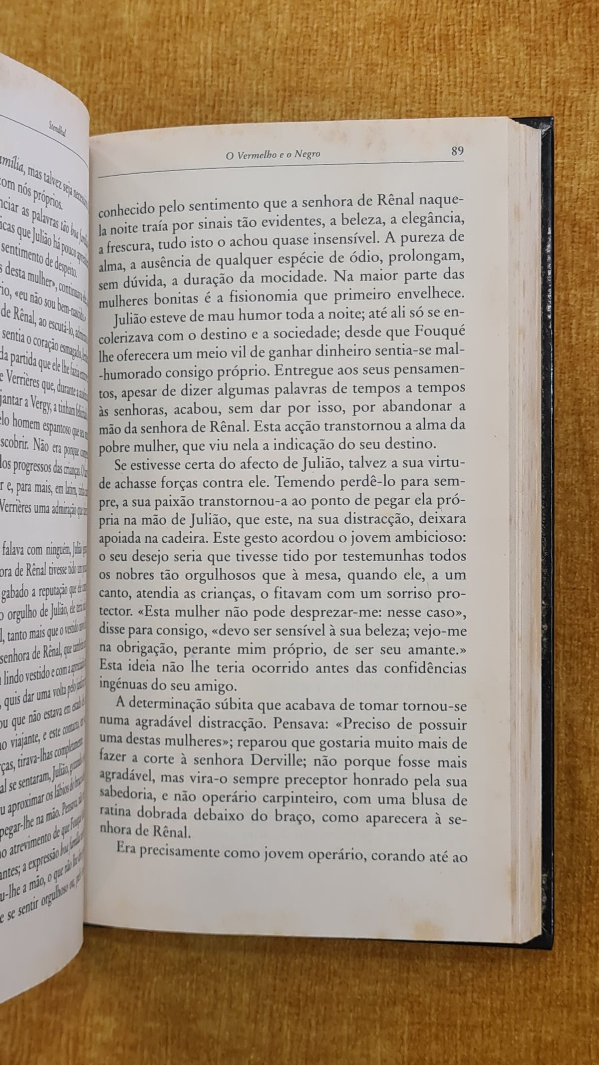O vermelho e o negro (Vol. 1) - Biblioteca Visão 20