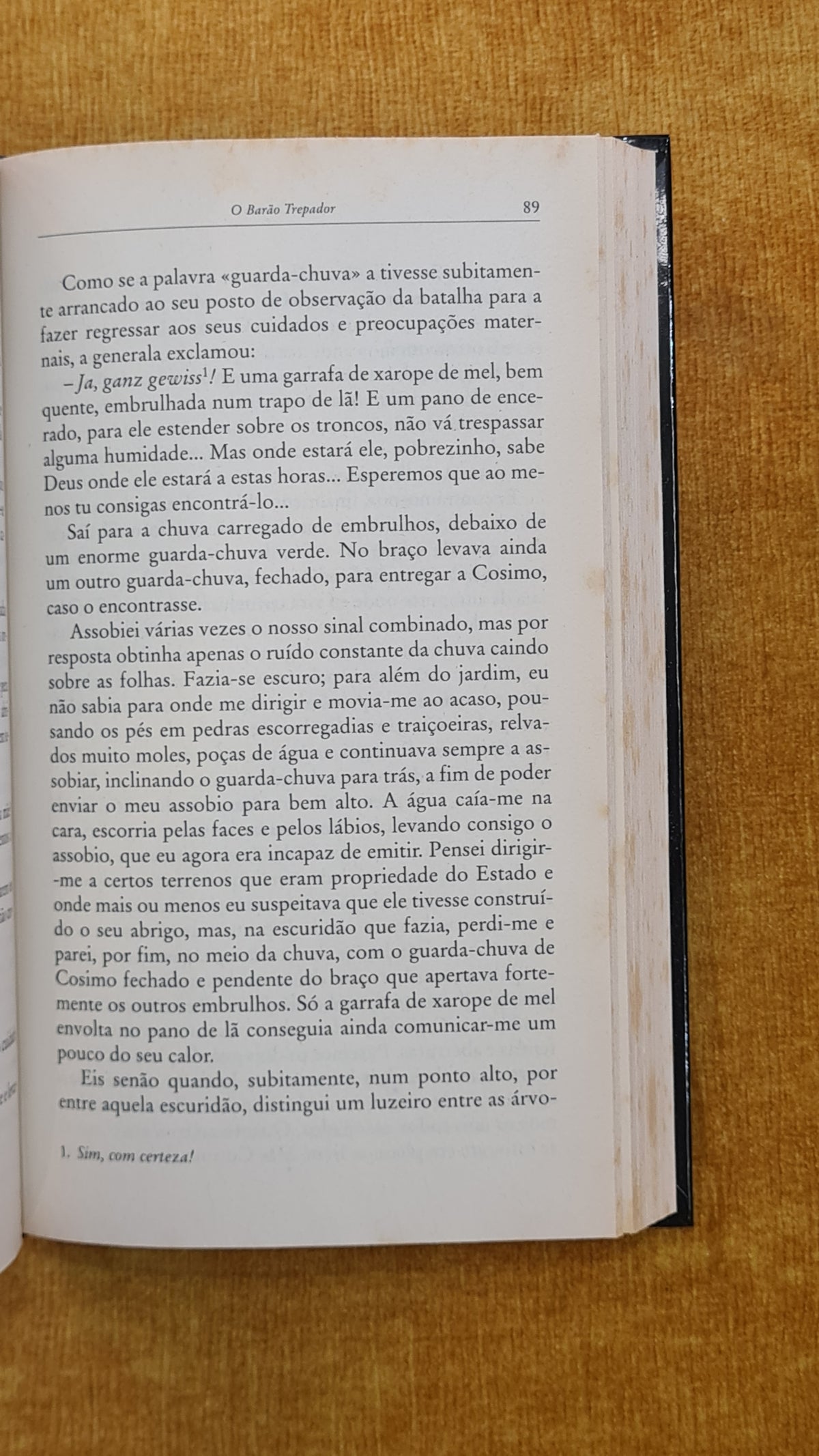 O barão trepador - Biblioteca Visão 14