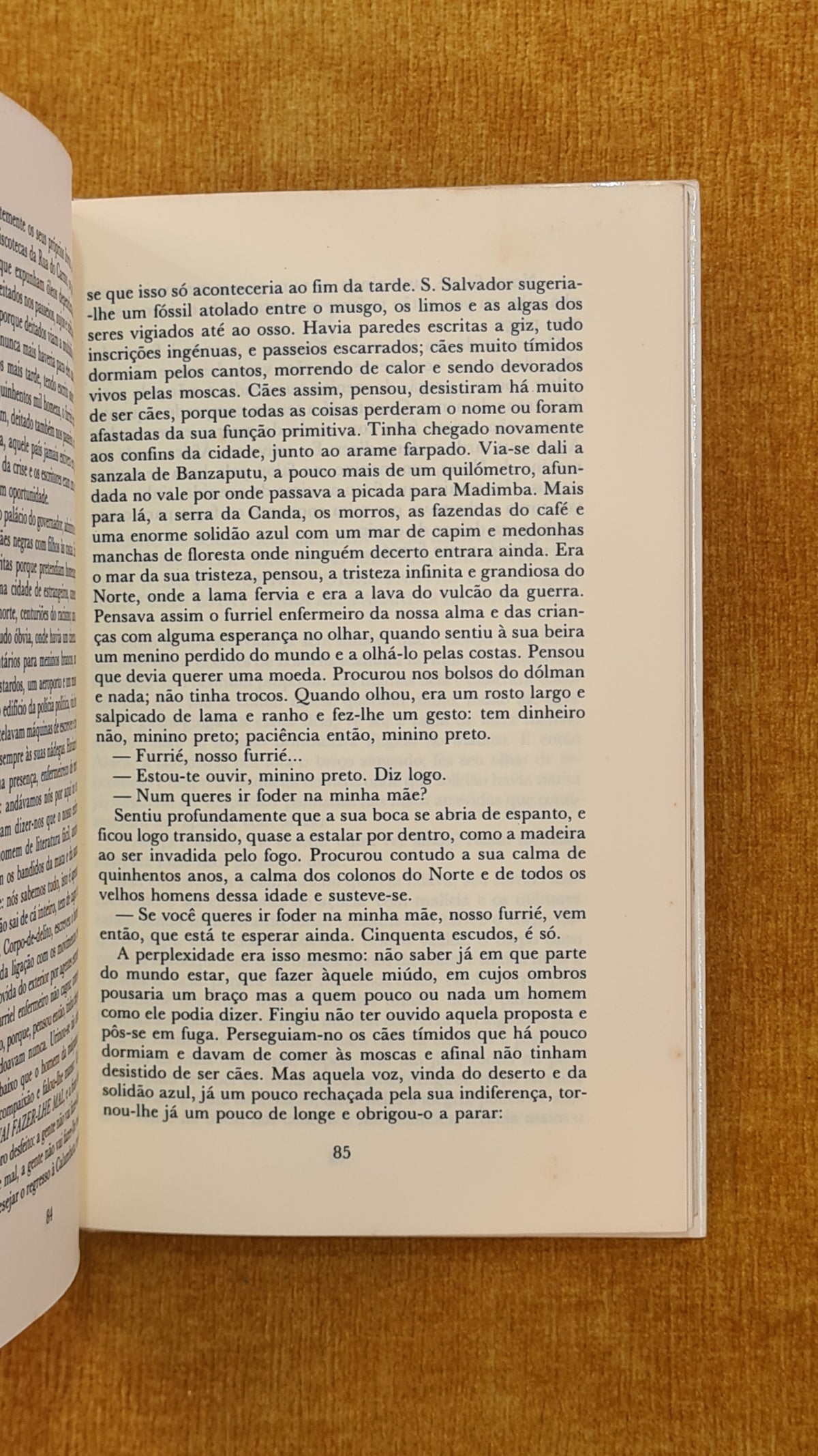Autópsia de um mar de ruínas