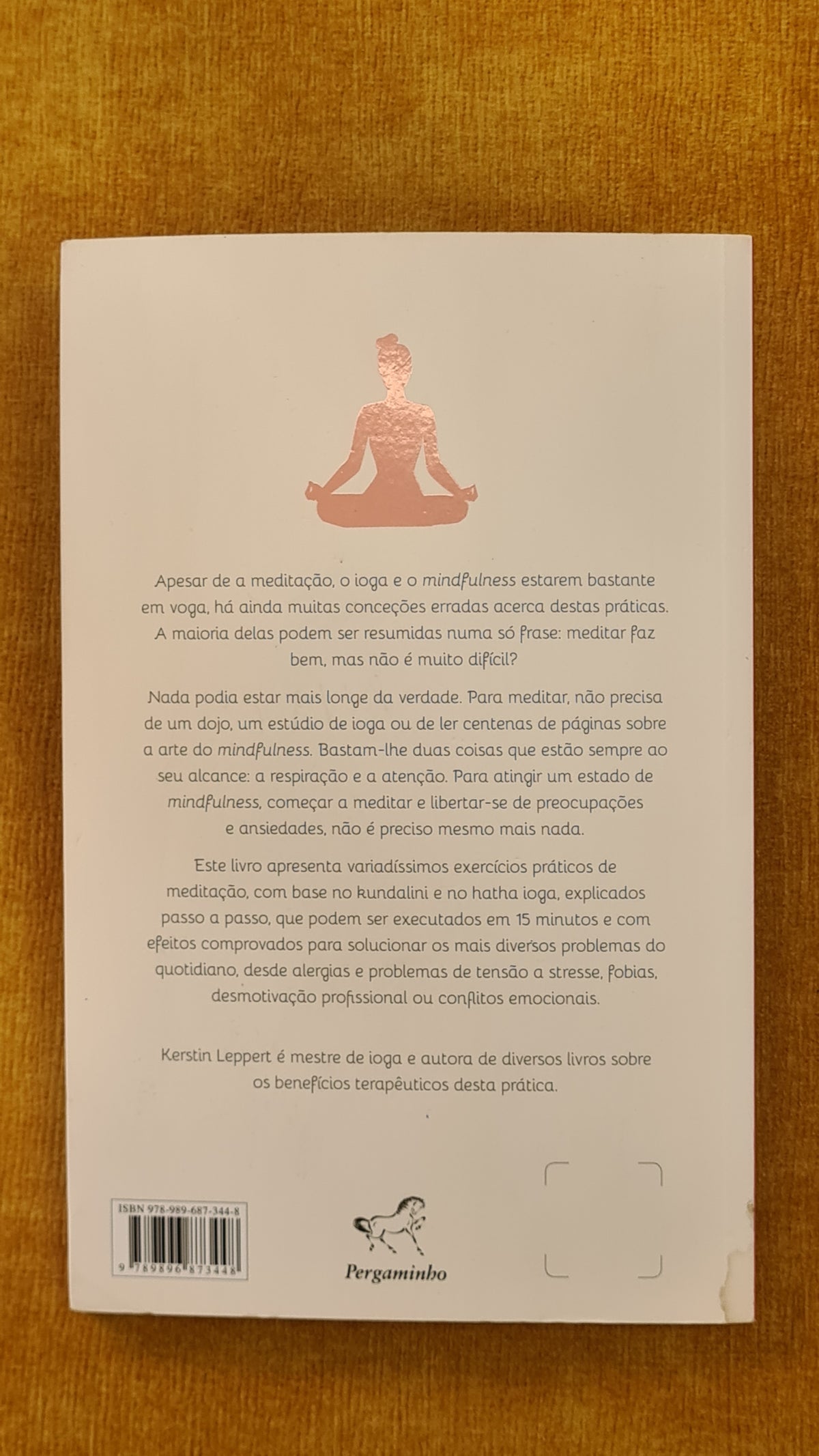 Mindfulness em 15 minutos: Guia prático de meditação para os problemas do dia-a-dia