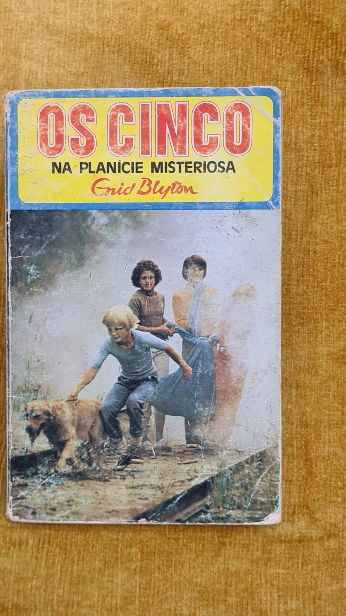 Os cinco na planície misteriosa - Colecção Juvenil 13