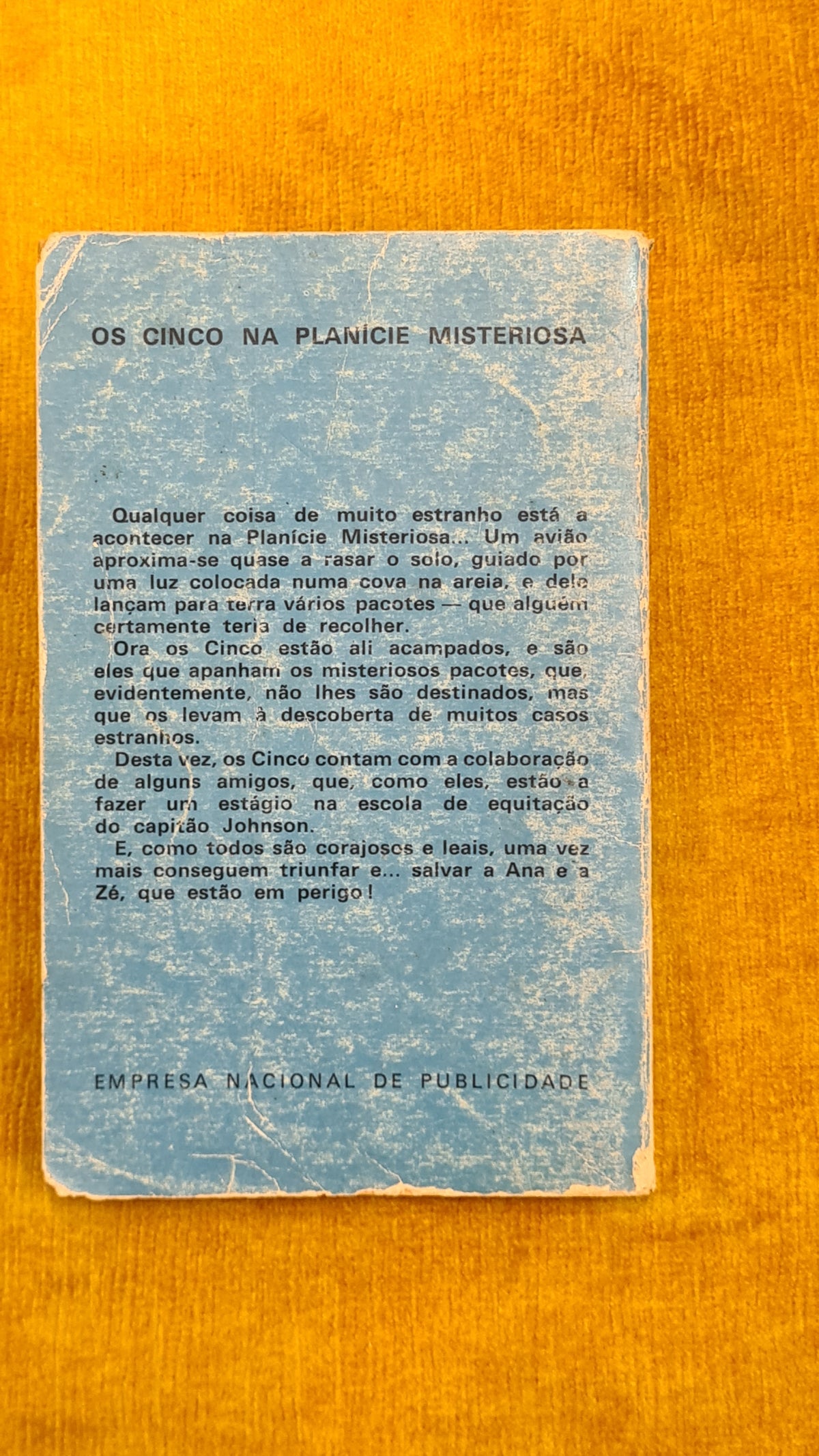 Os cinco na planície misteriosa - Colecção Juvenil 13