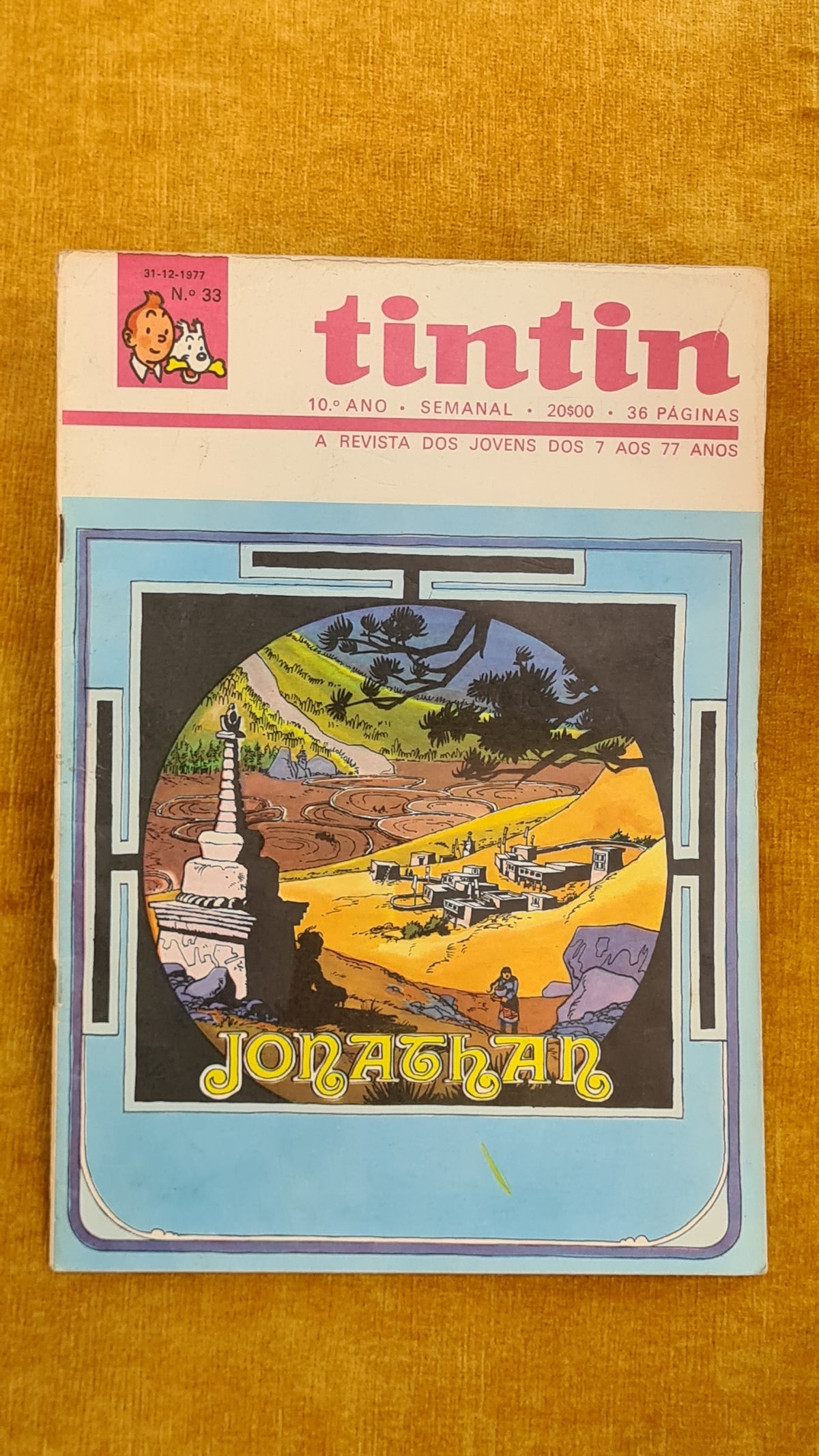 Tintin - 10ºano nº 33