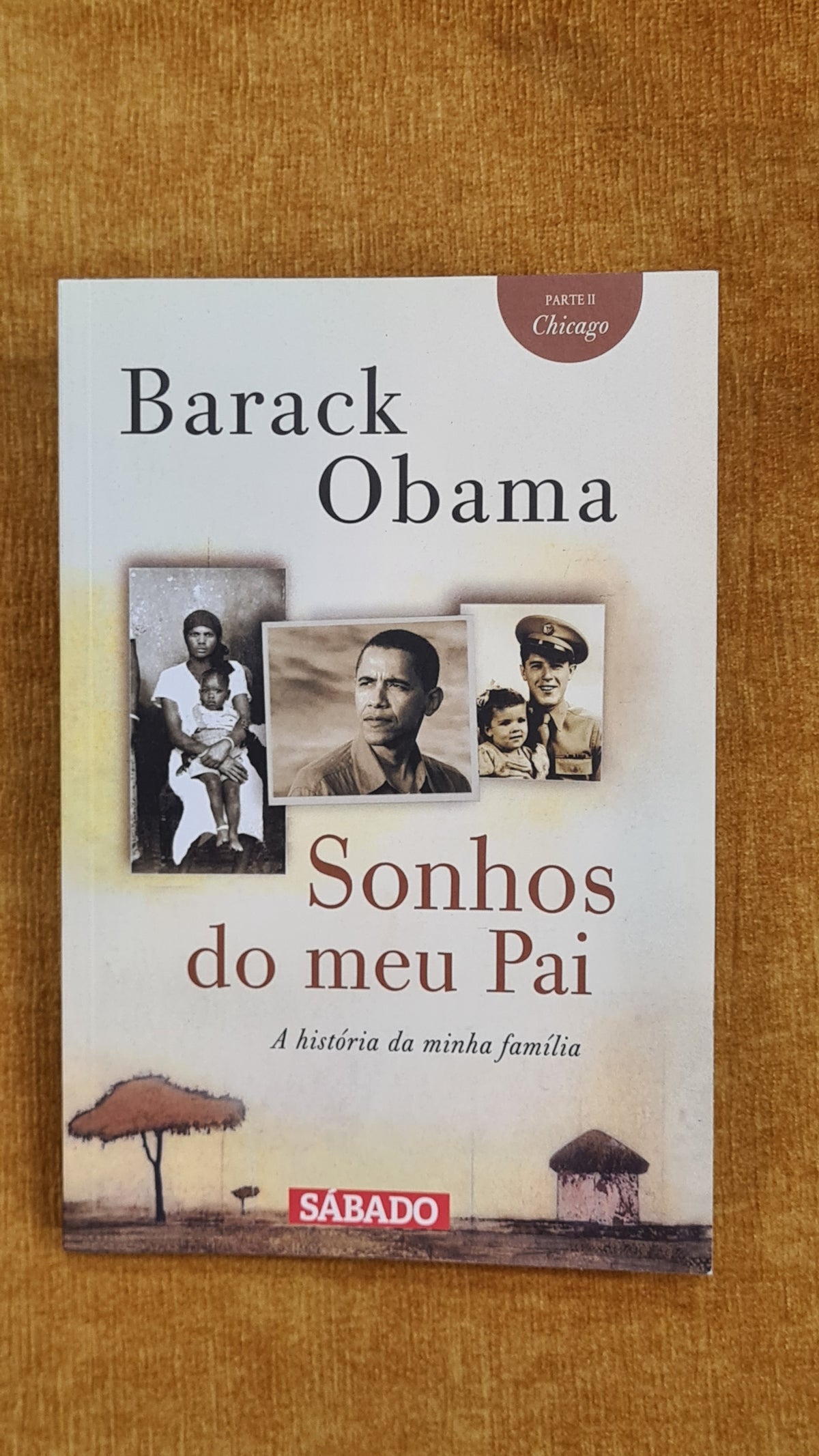 Sonhos do meu pai - A história da minha família Parte II: Chicago