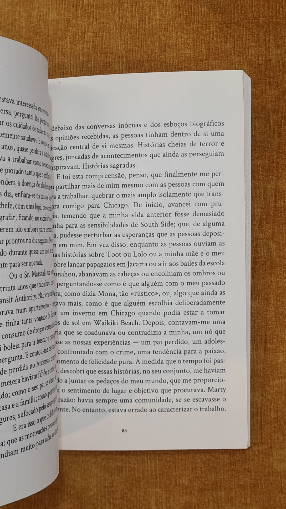 Sonhos do meu pai - A história da minha família Parte II: Chicago