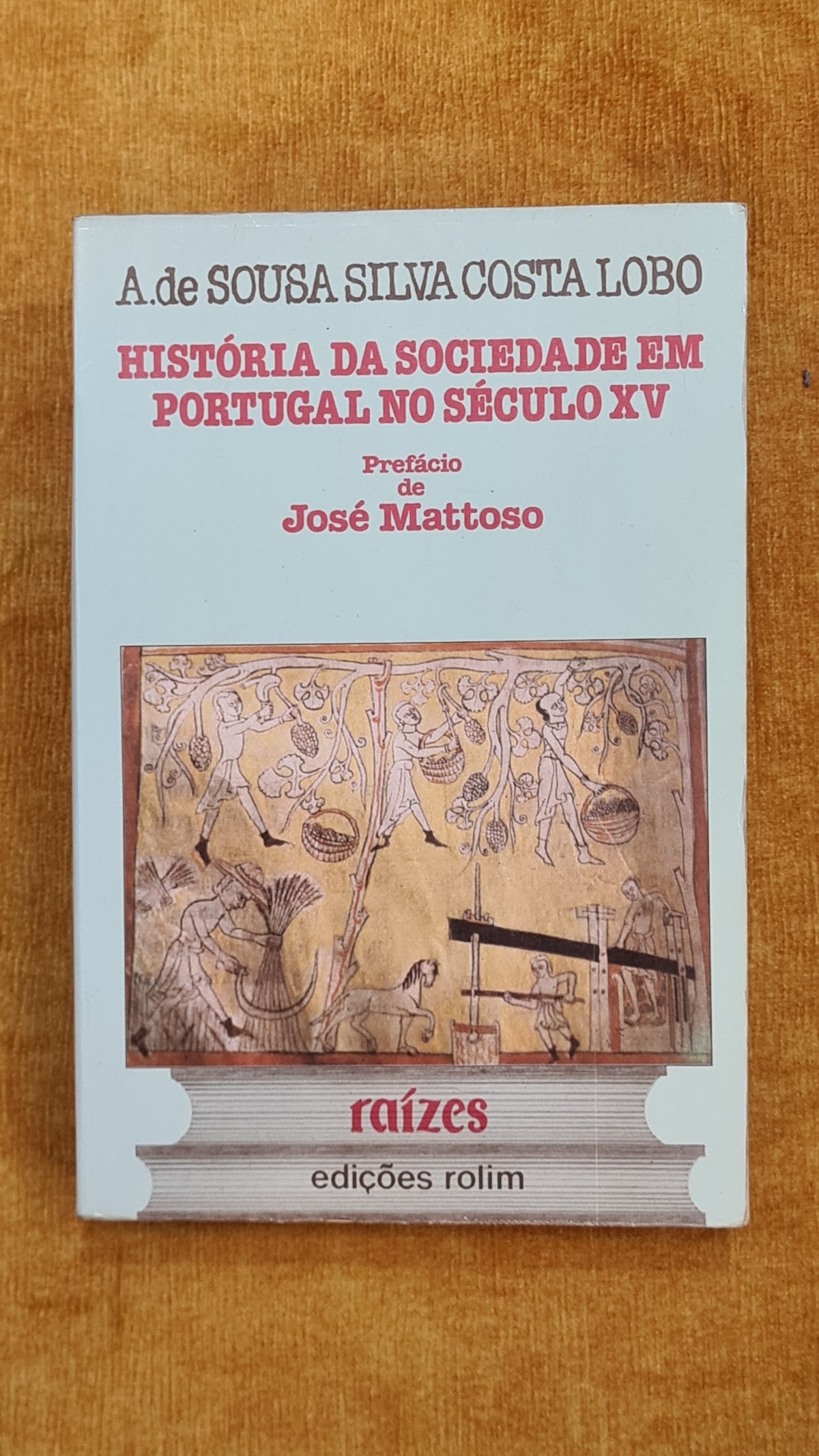 História da sociedade em Portugal no século XV