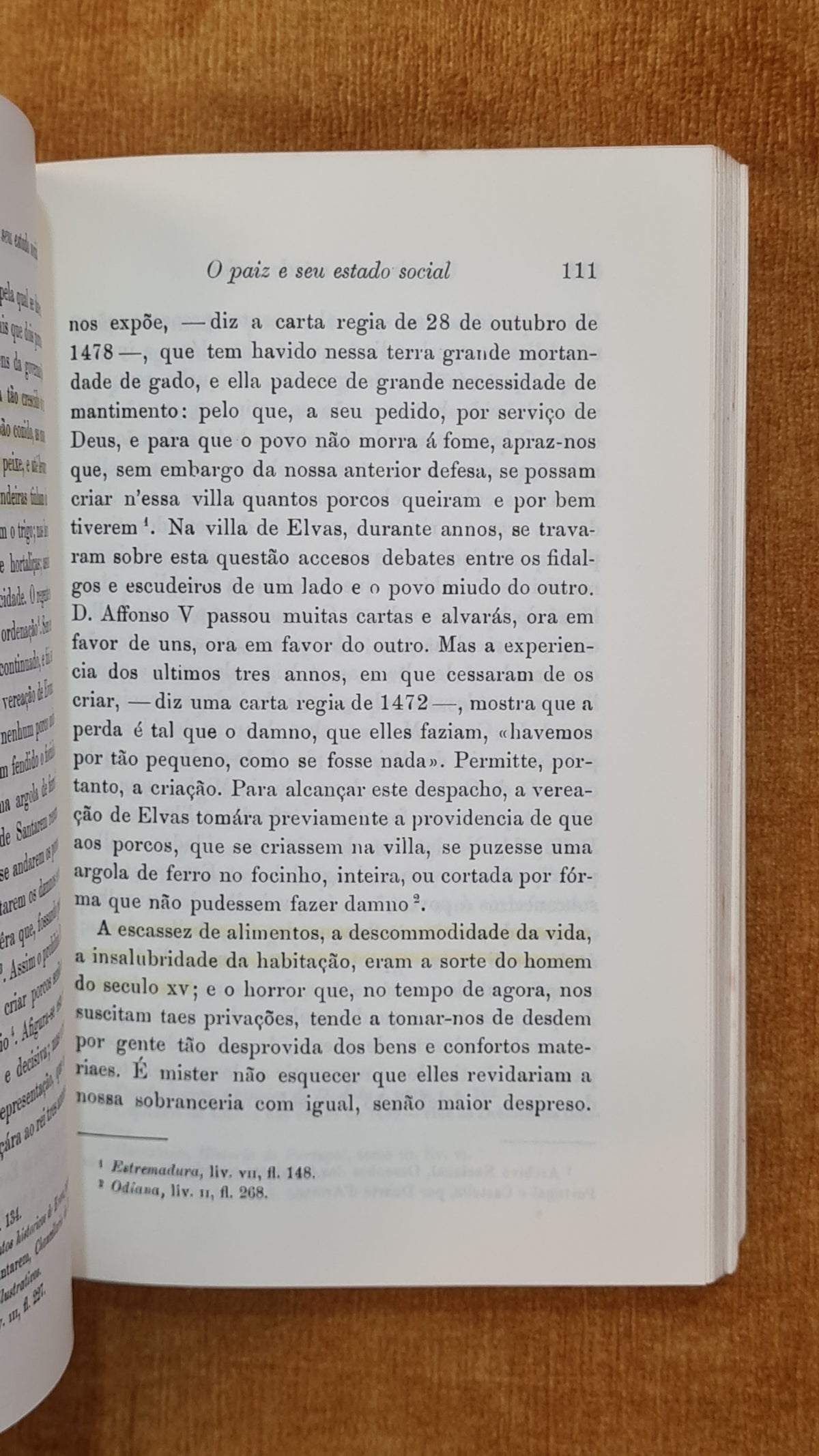 História da sociedade em Portugal no século XV