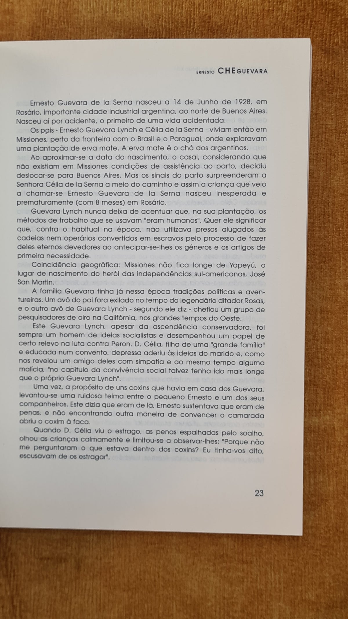 Ernesto "CHE" Guevara: Homem do século XIX OU DO SÉCULO XXI?