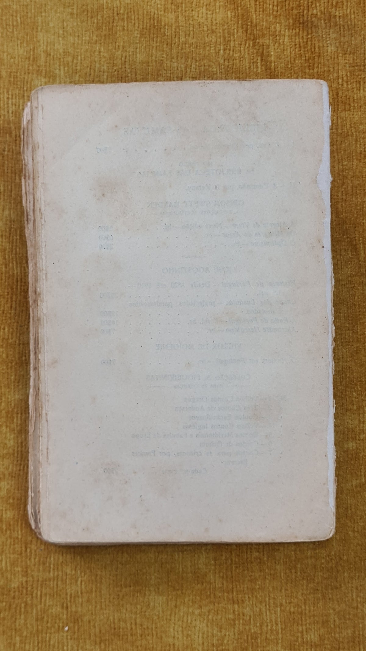 A avó - Biblioteca das Famílias
