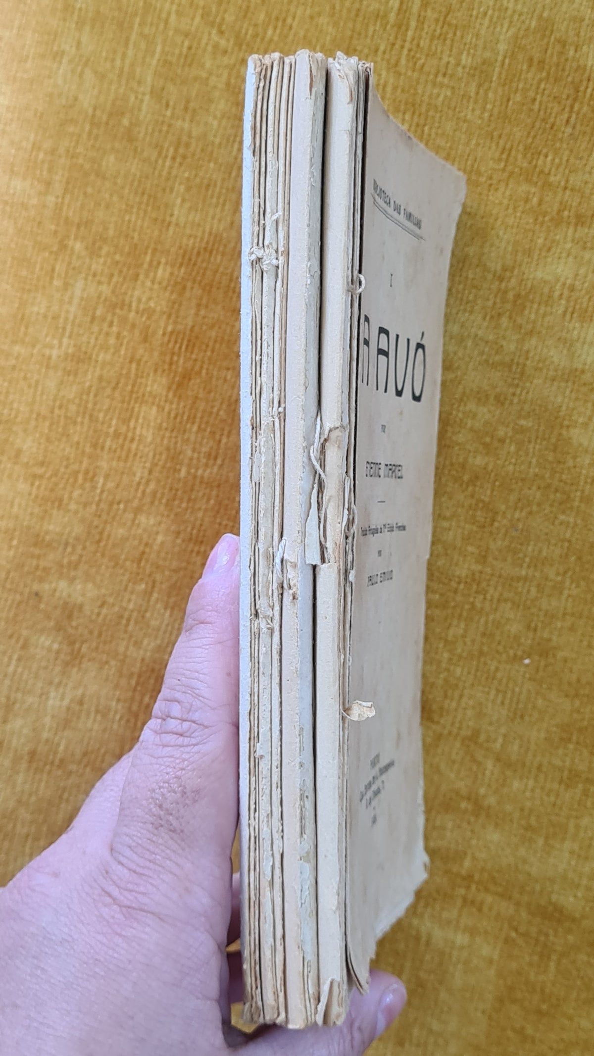 A avó - Biblioteca das Famílias