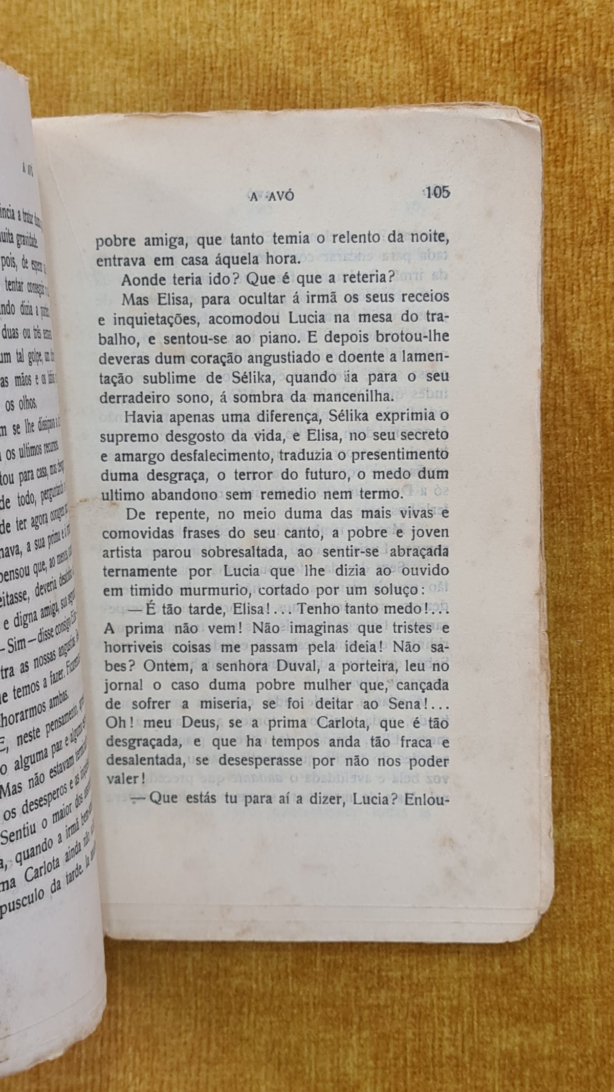 A avó - Biblioteca das Famílias