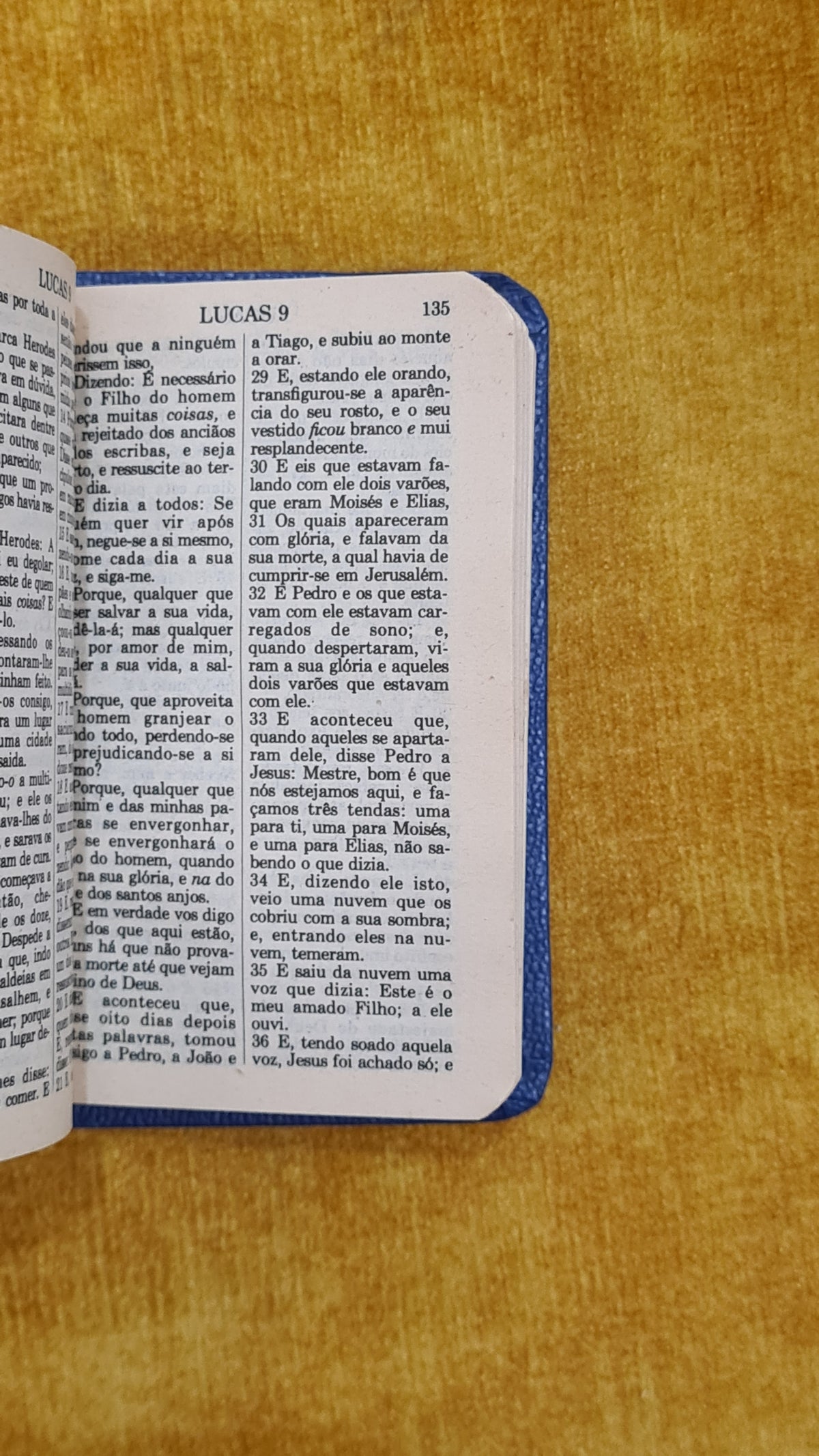 Novo testamento - Salmos Provérbios