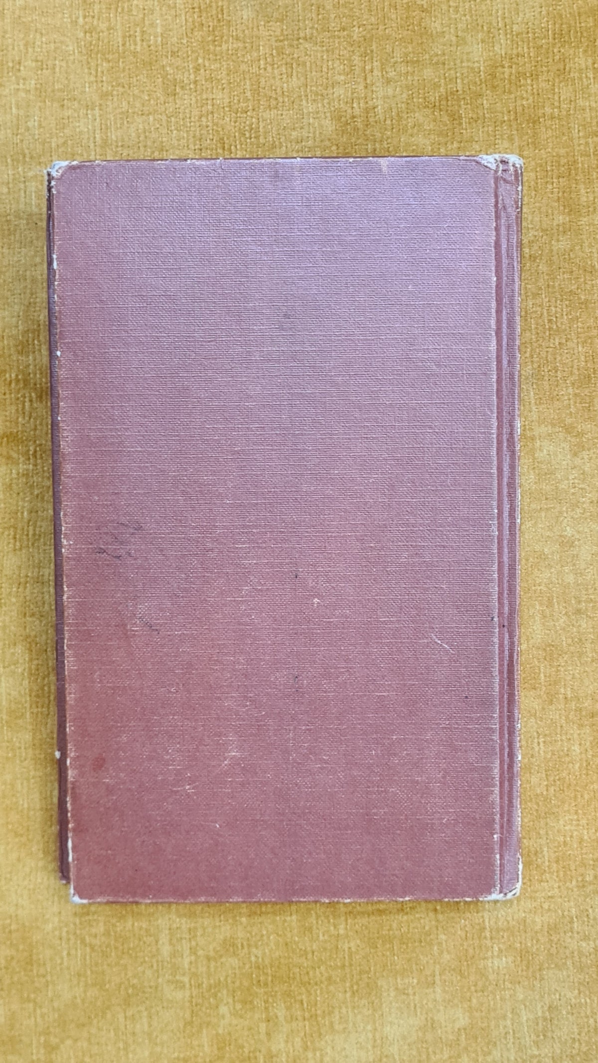 O médico de Lassa