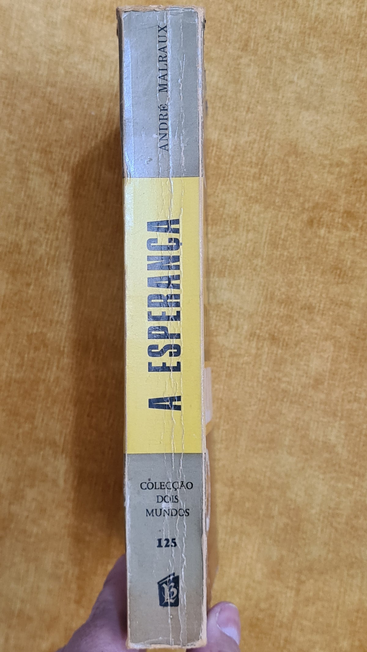 A esperança - Colecção Dois mundos 125
